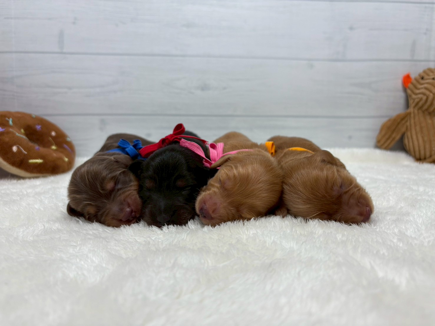 赤ちゃん写真1-3