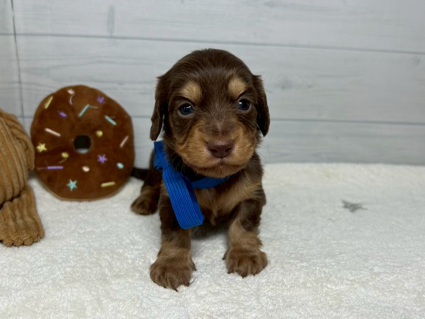 赤ちゃん写真2-1