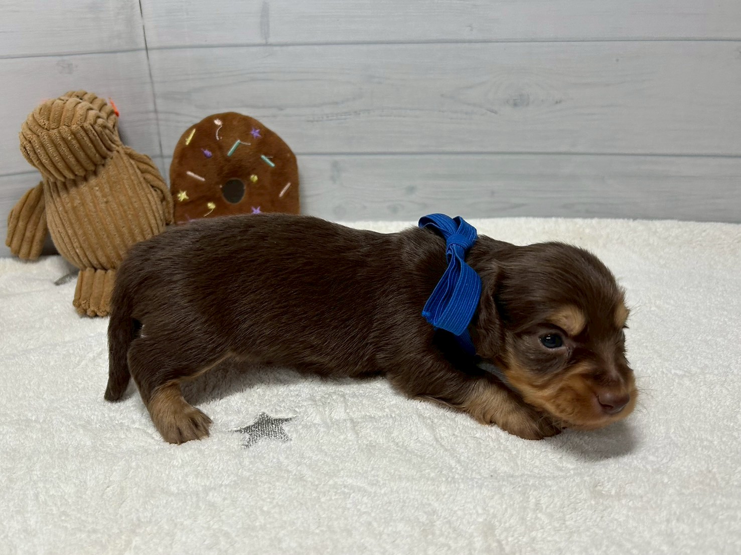 赤ちゃん写真2-2