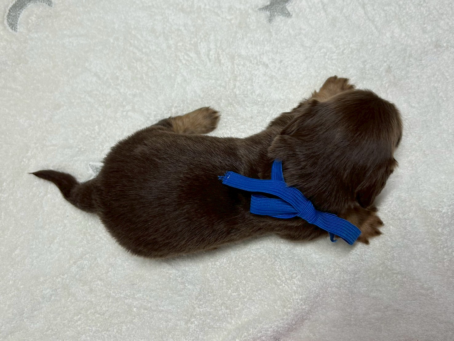 赤ちゃん写真2-3