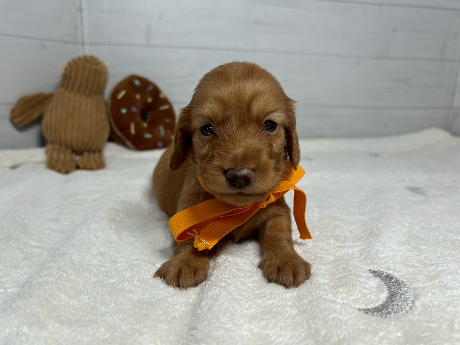 赤ちゃん写真2-1