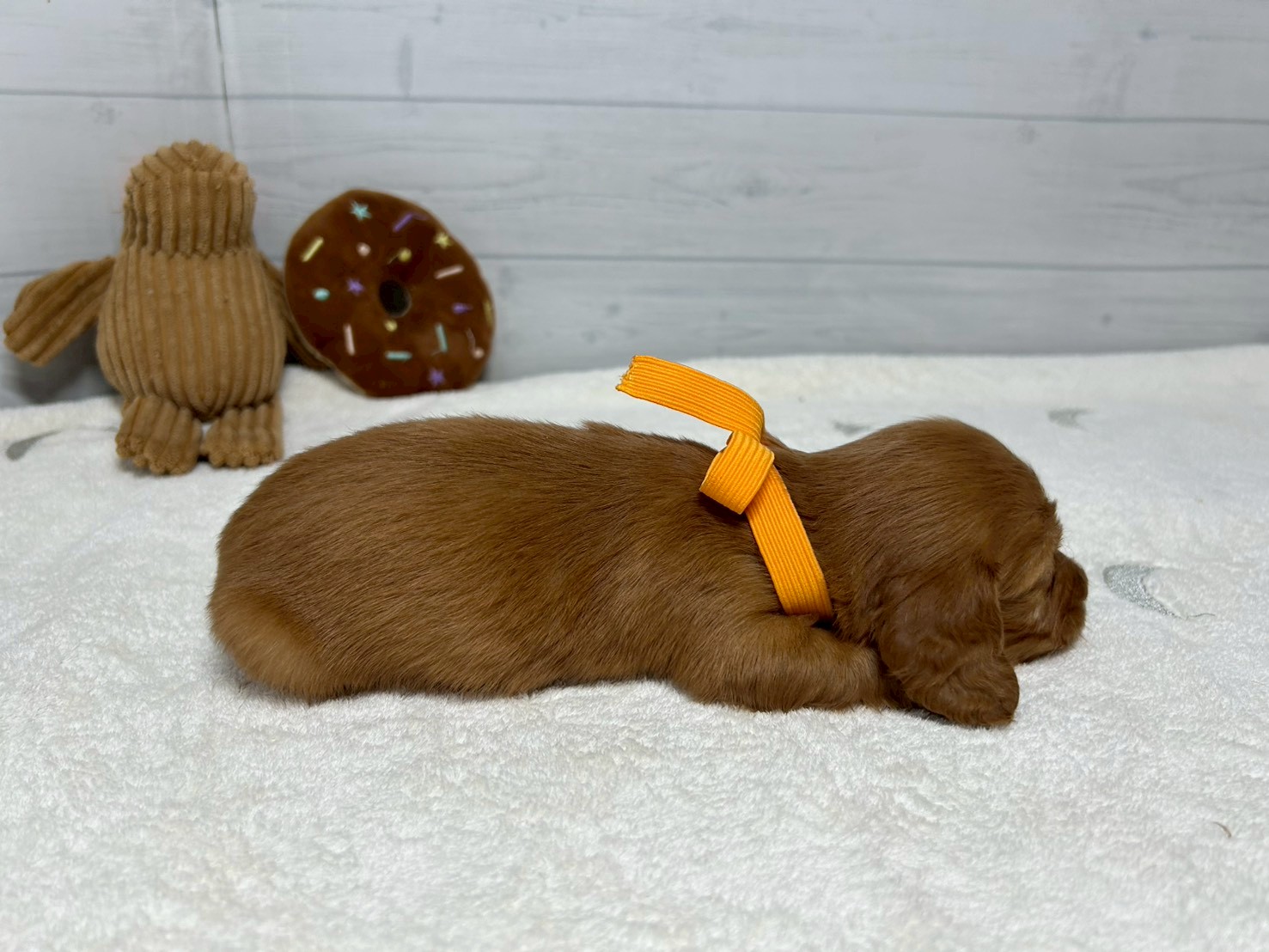 赤ちゃん写真2-2