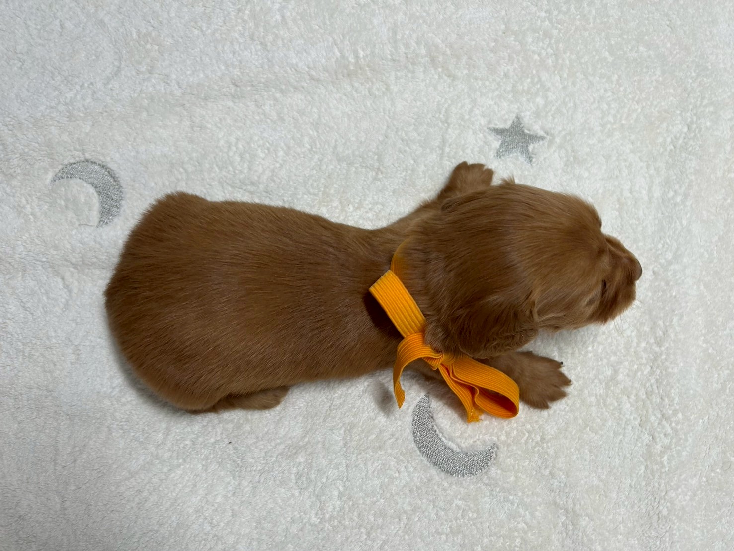 赤ちゃん写真2-3