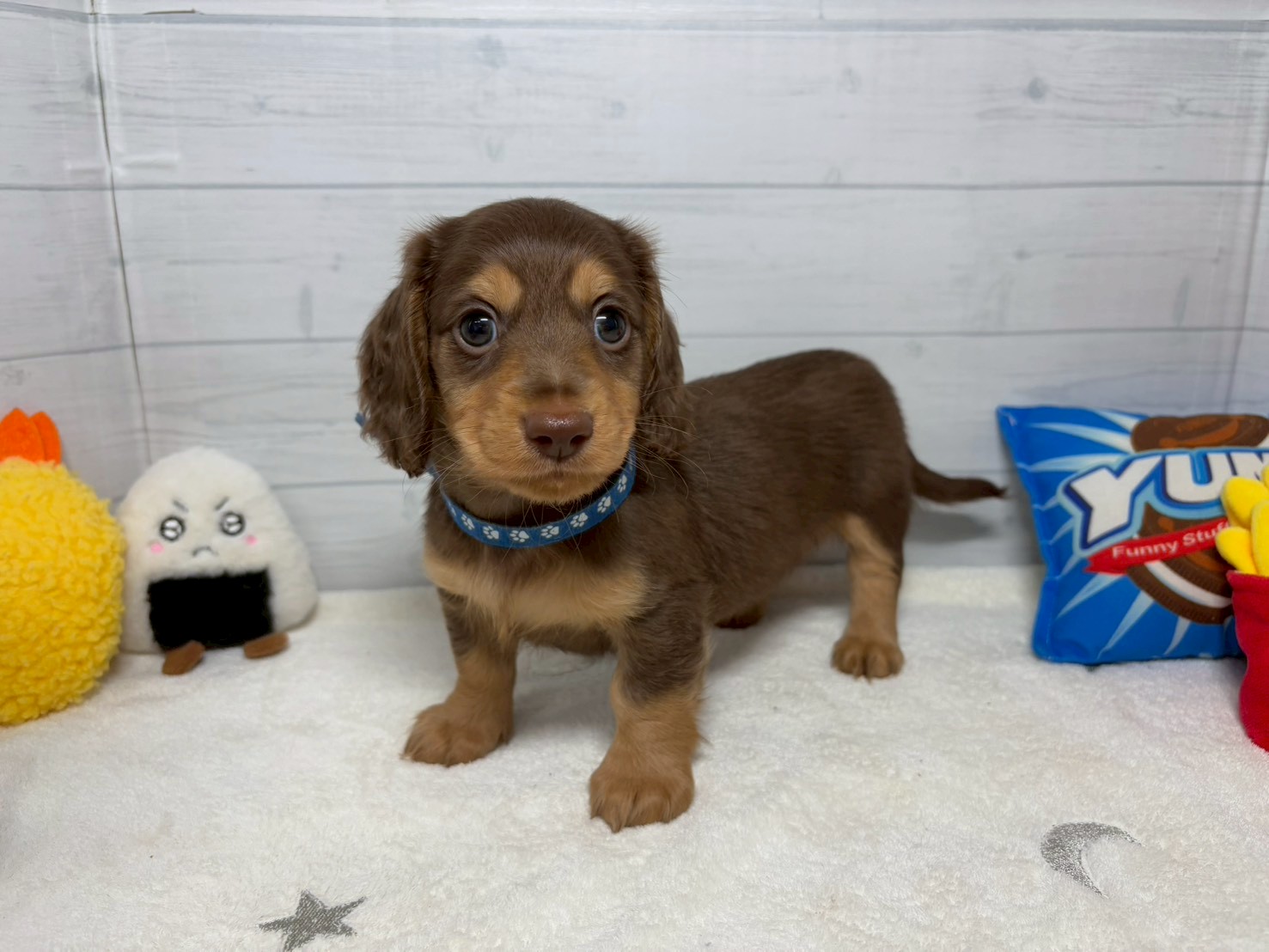 赤ちゃん写真3-1