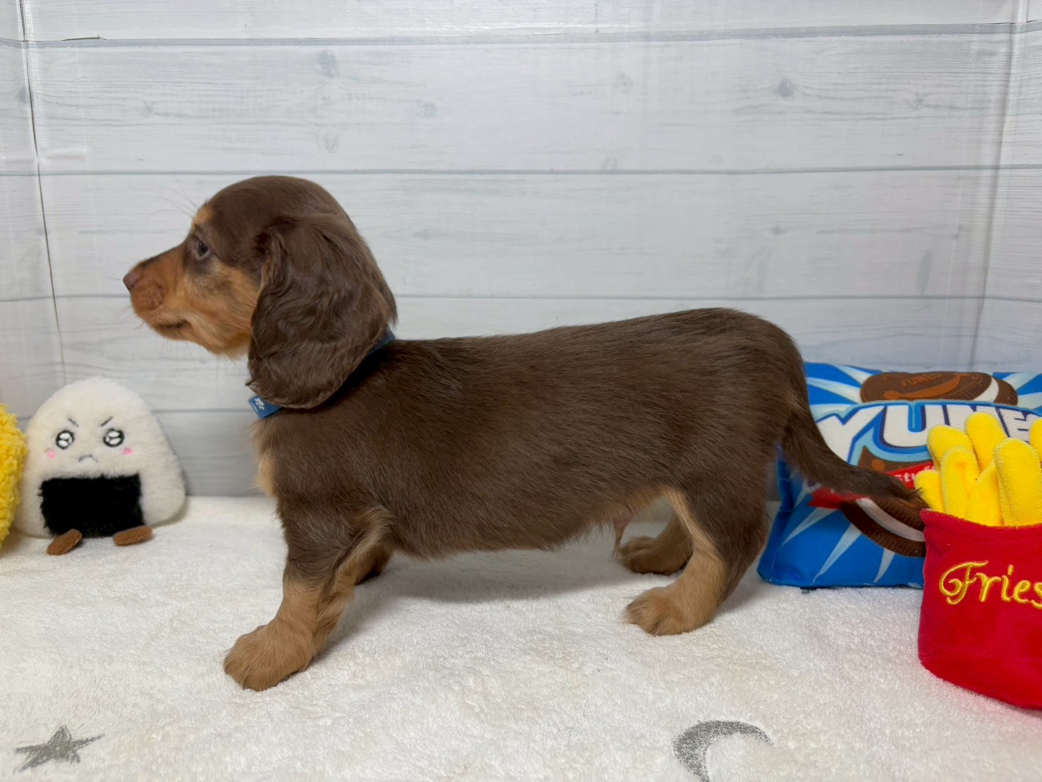 赤ちゃん写真3-2