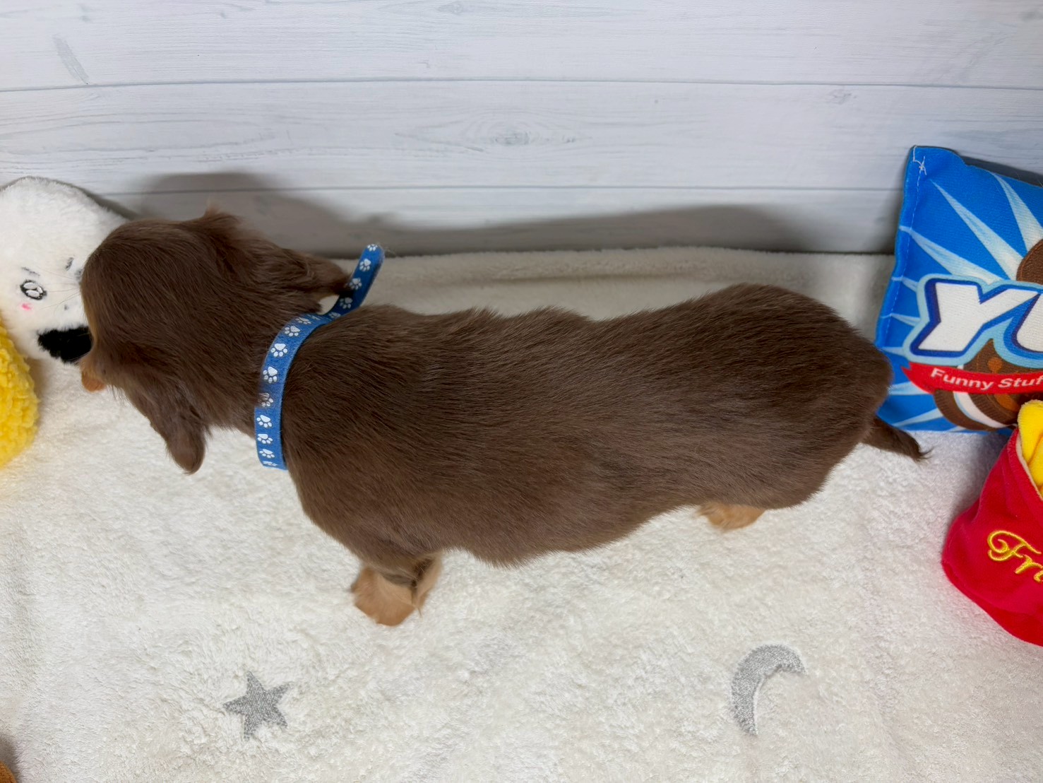 赤ちゃん写真3-3