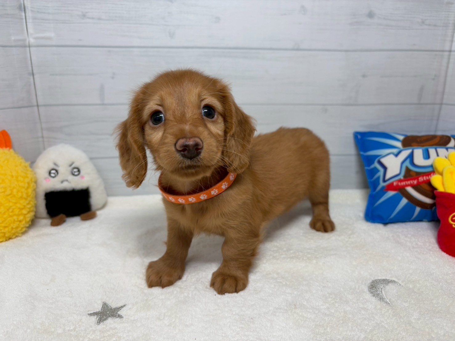 赤ちゃん写真3-1