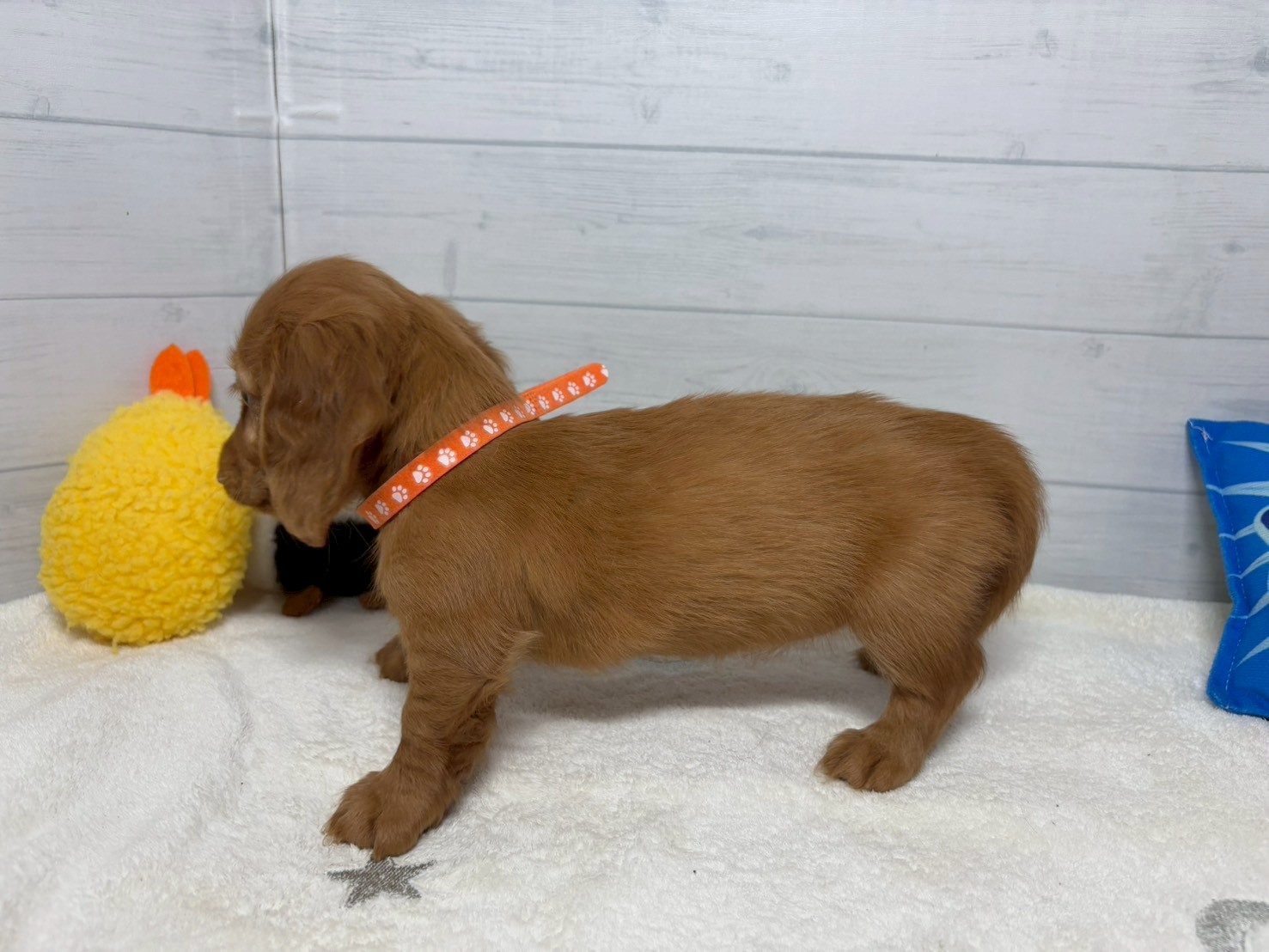 赤ちゃん写真3-2