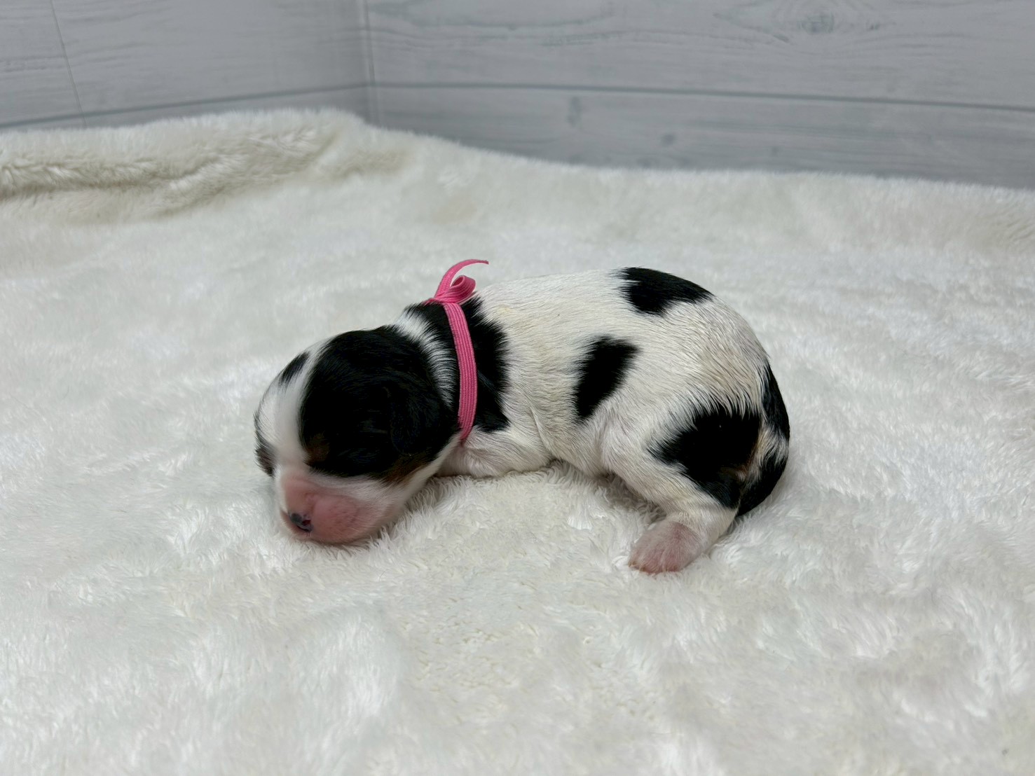 赤ちゃん写真1-2