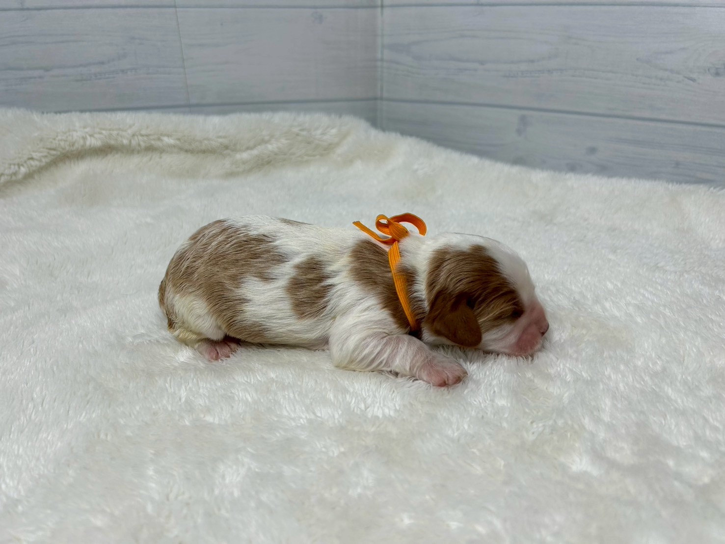 赤ちゃん写真1-2