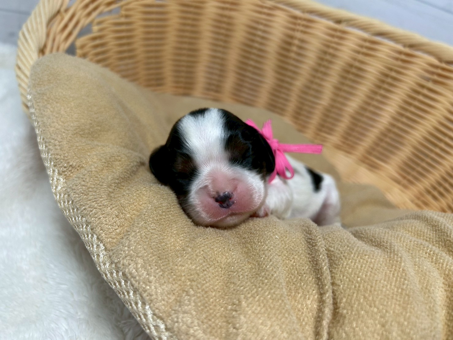 赤ちゃん写真1-1