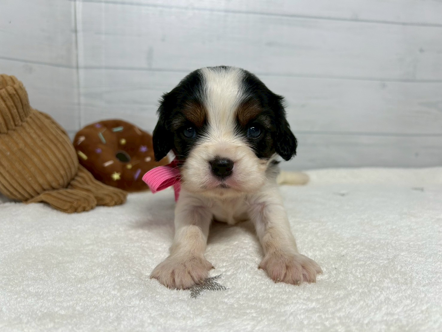 赤ちゃん写真2-1