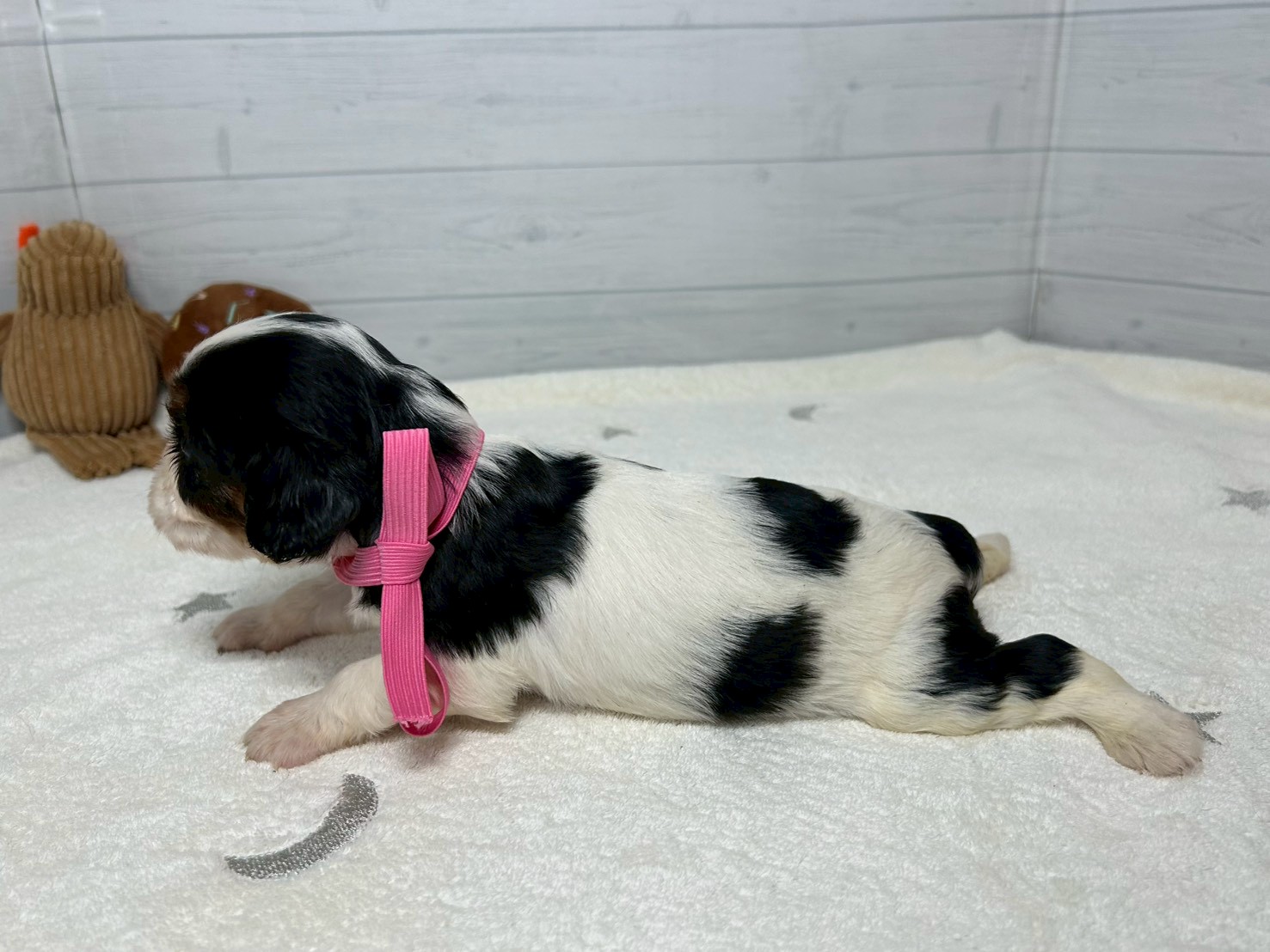 赤ちゃん写真2-2