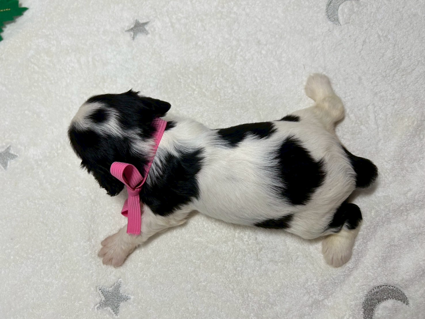 赤ちゃん写真2-3