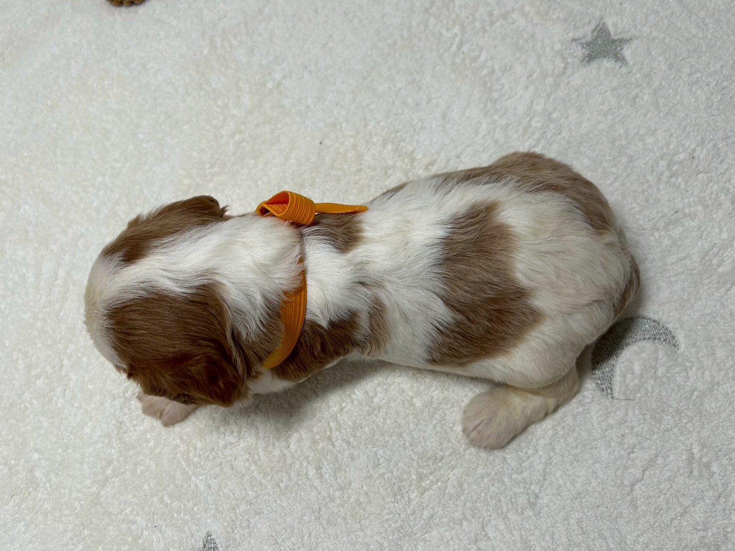 赤ちゃん写真2-3