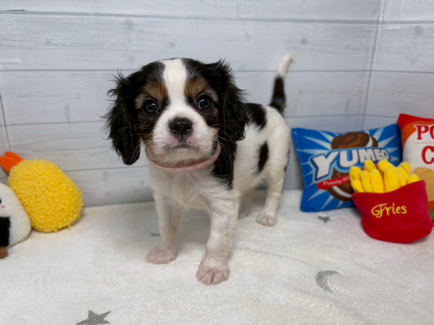 赤ちゃん写真3-1