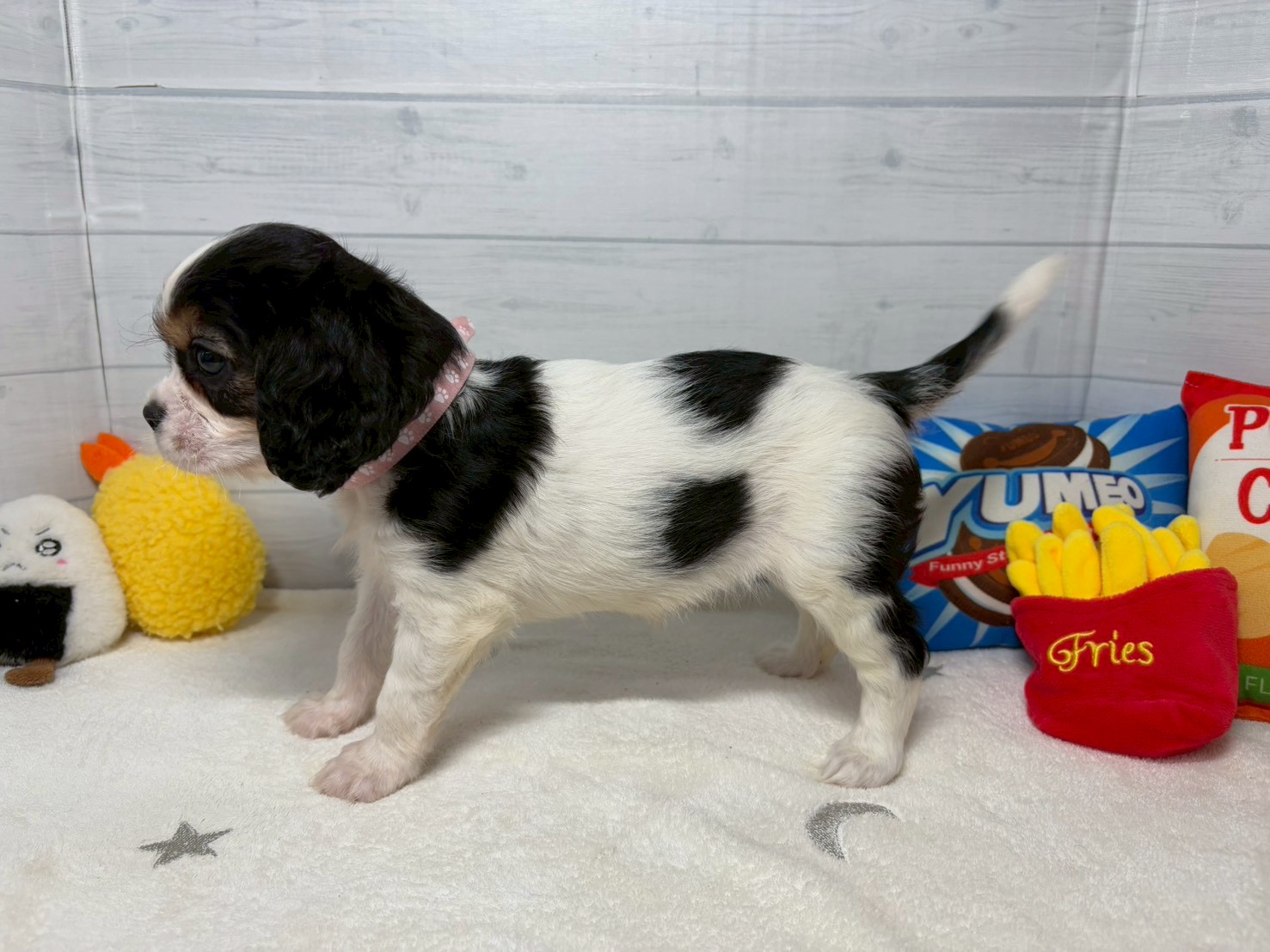 赤ちゃん写真3-2