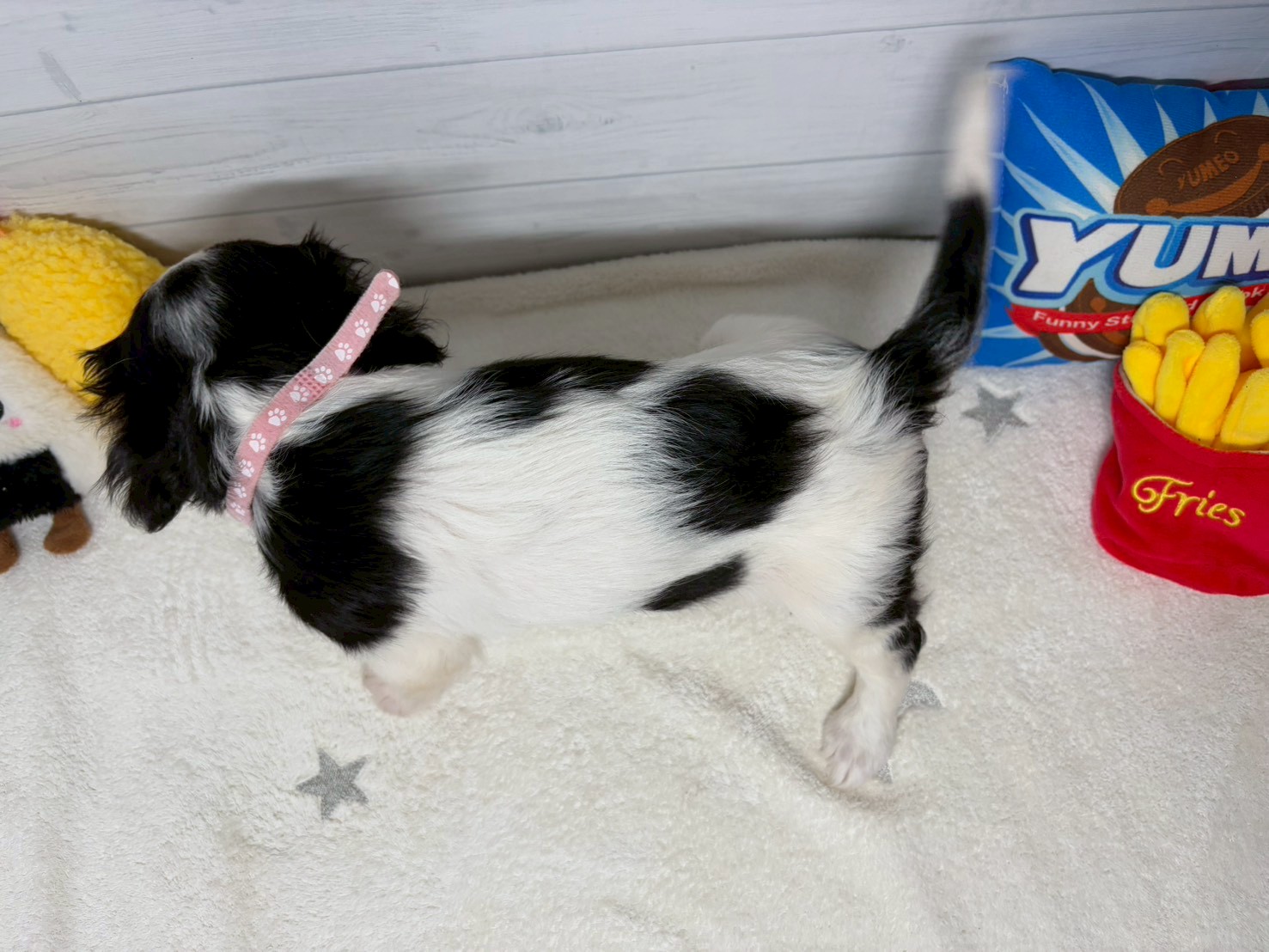 赤ちゃん写真3-3