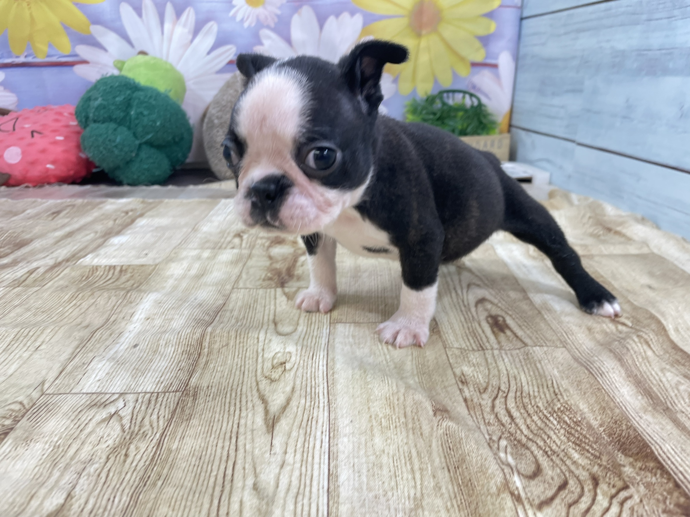 赤ちゃん写真2-1