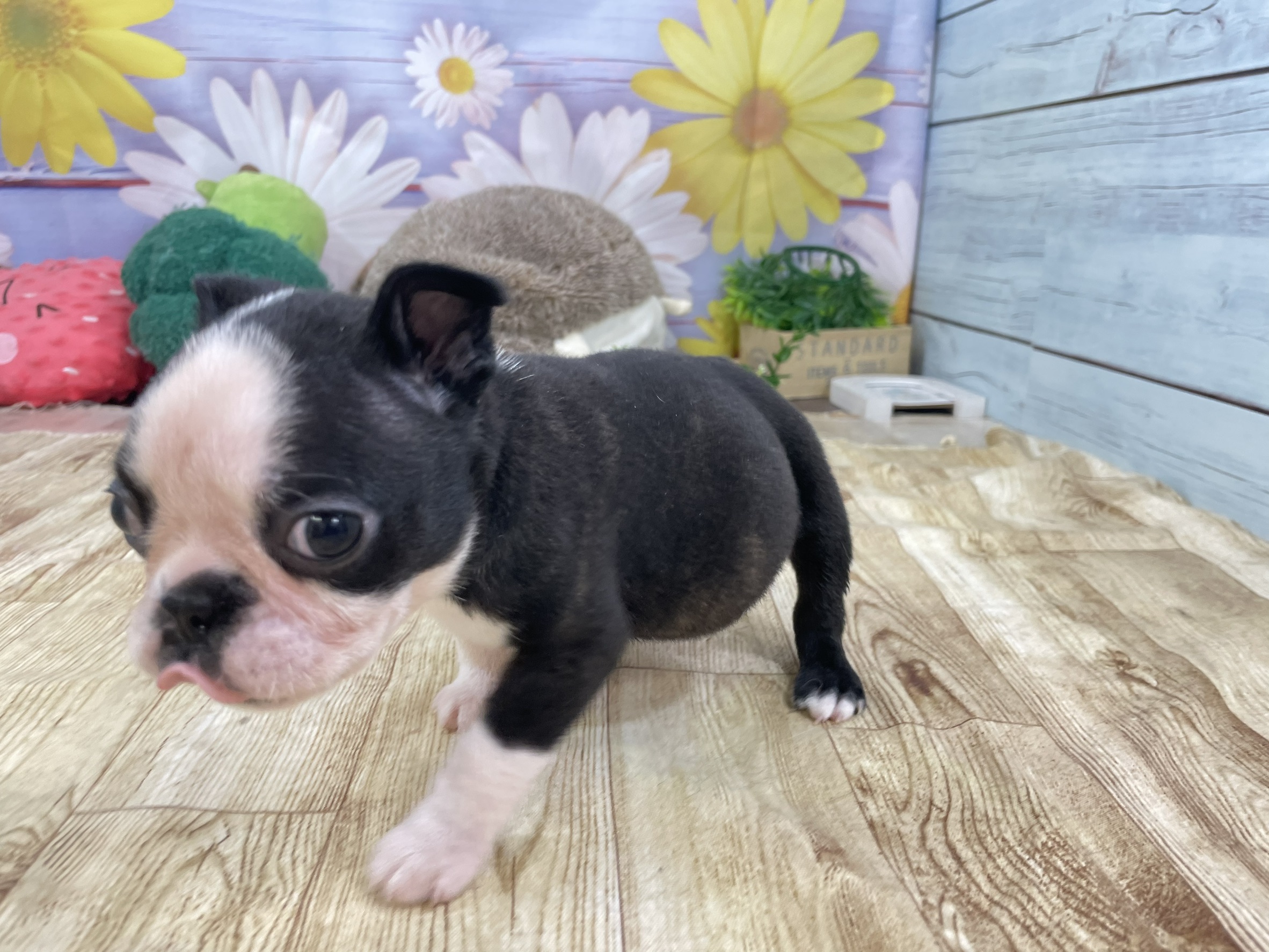 赤ちゃん写真2-2