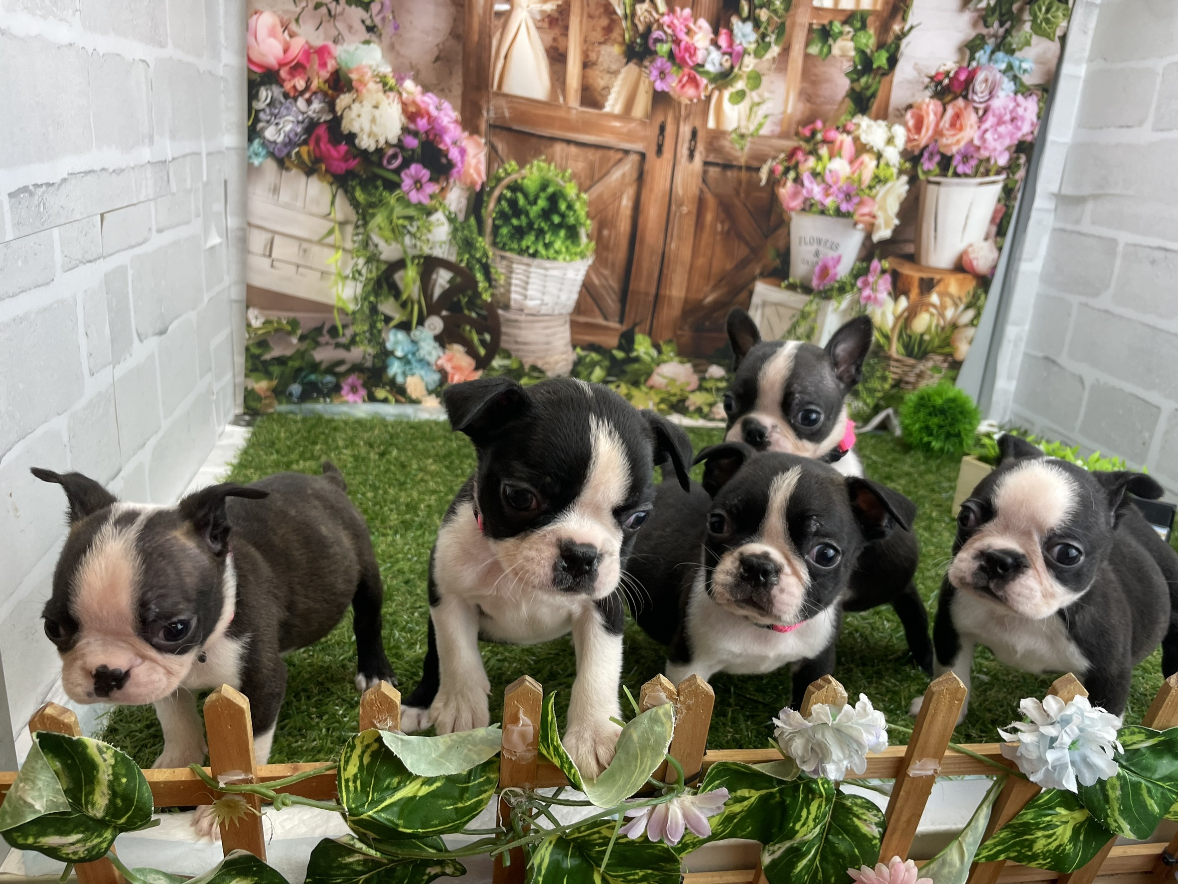 赤ちゃん写真2-3