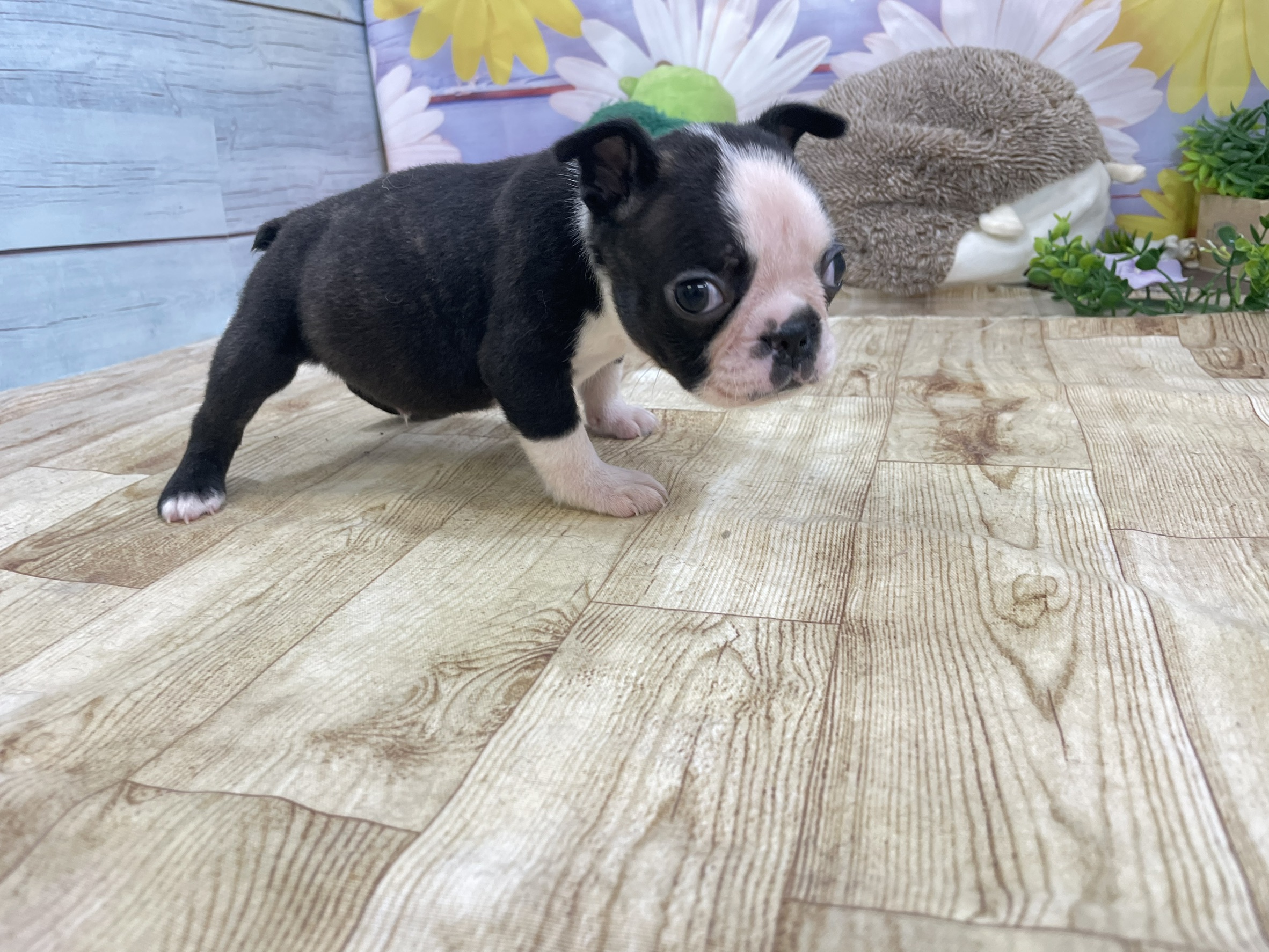 赤ちゃん写真3-2