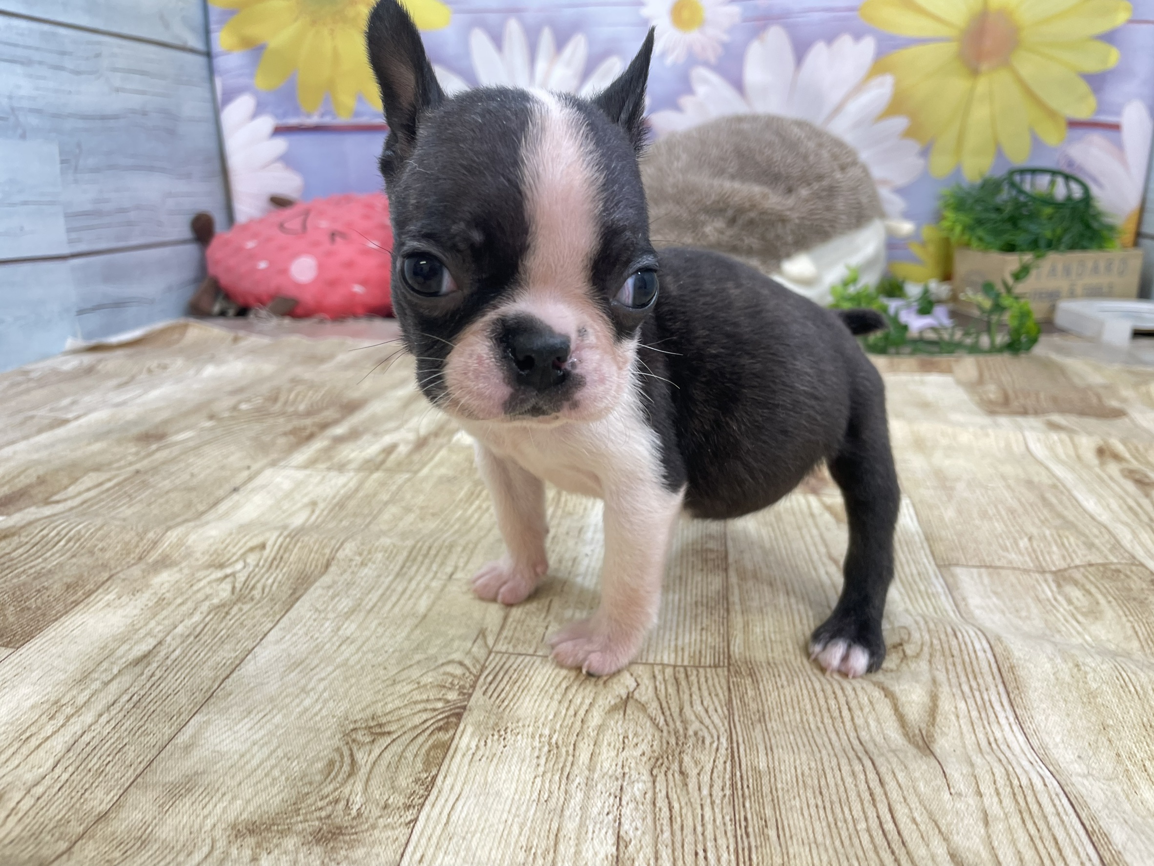 赤ちゃん写真2-1