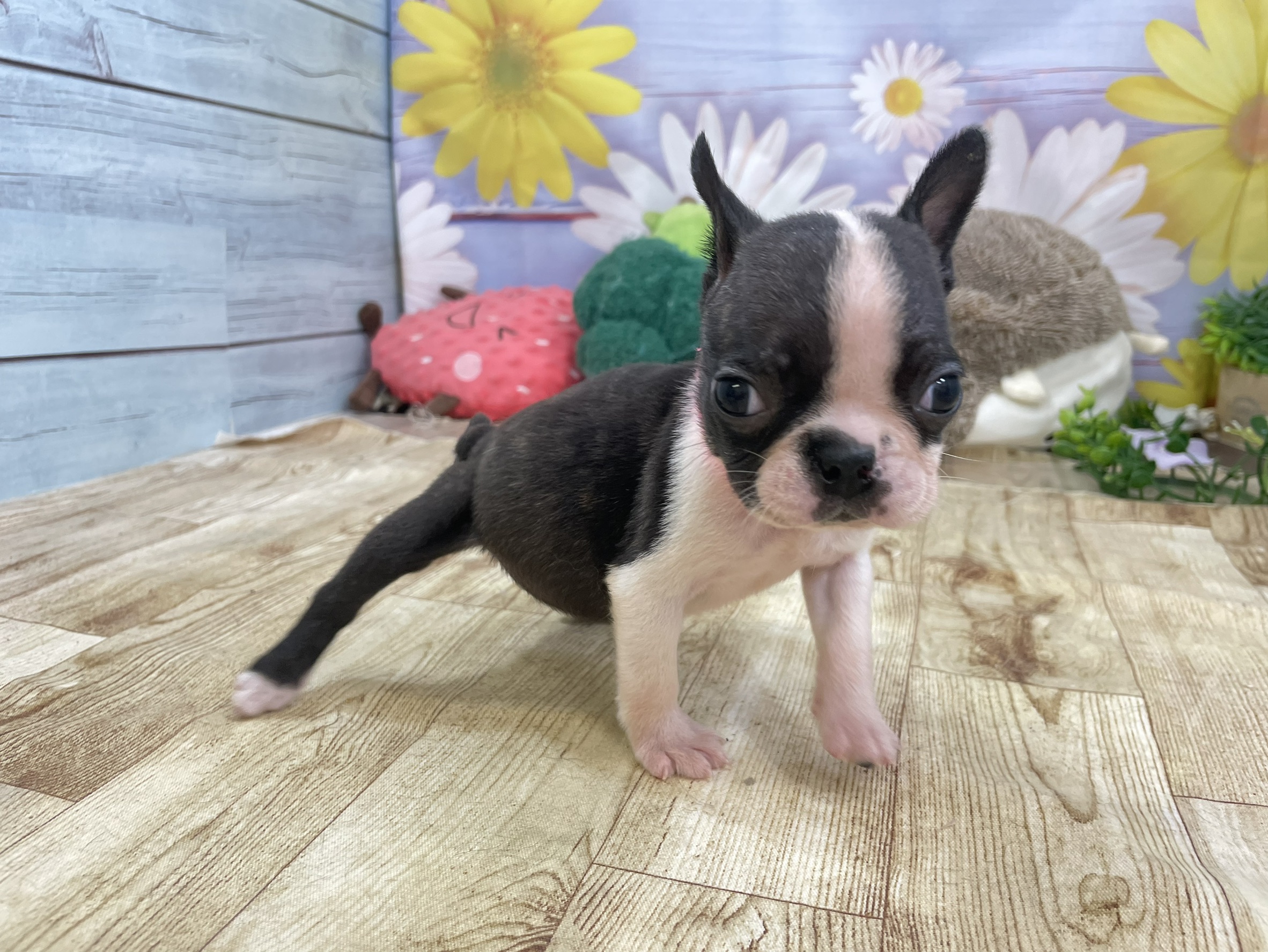 赤ちゃん写真2-2