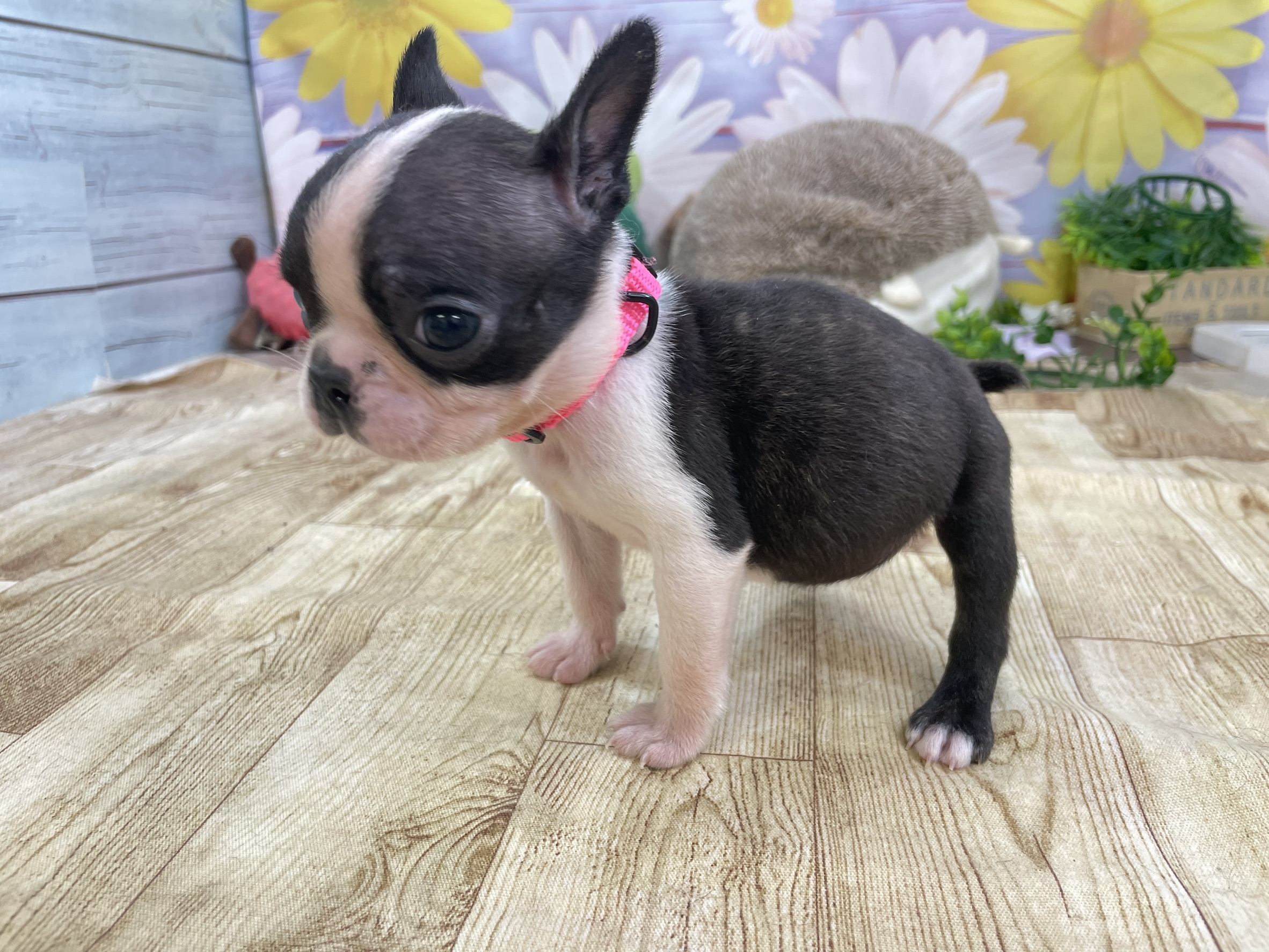 赤ちゃん写真3-2