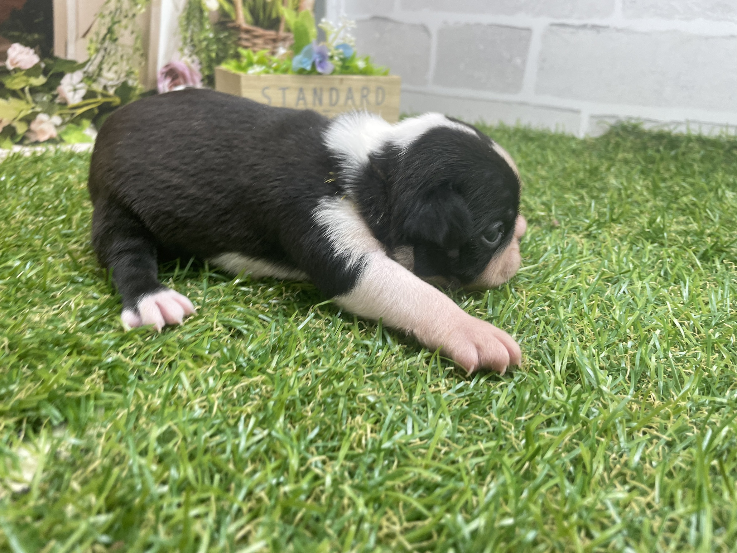 赤ちゃん写真3-2