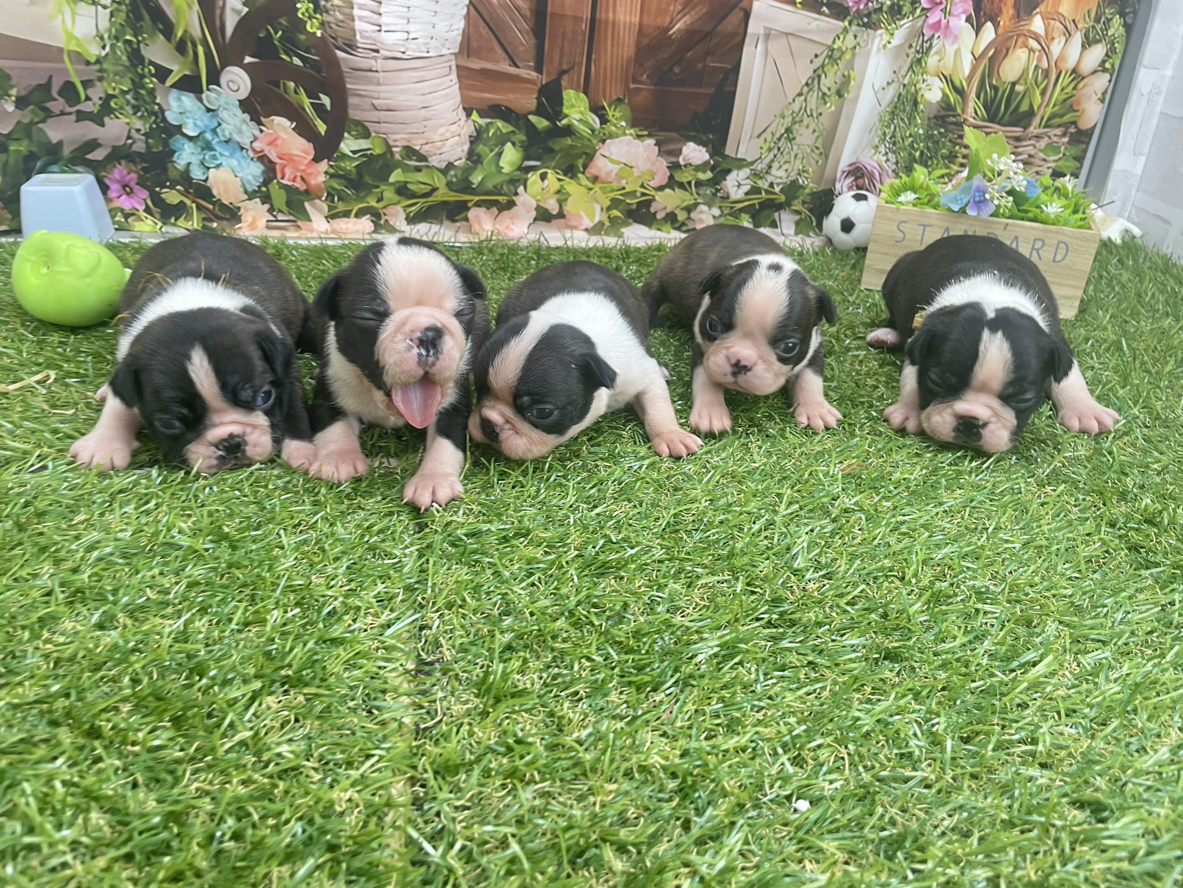 赤ちゃん写真3-3