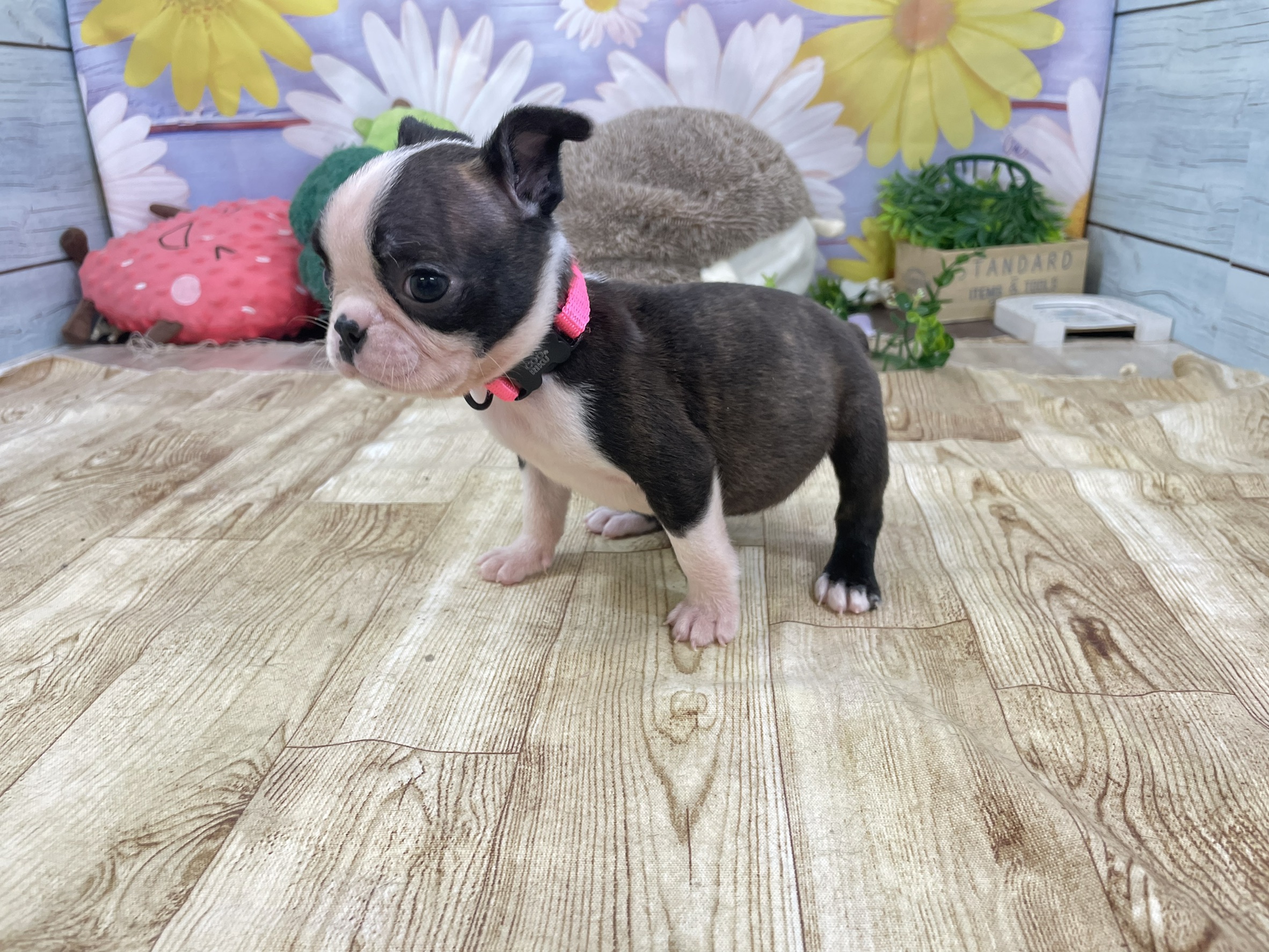 赤ちゃん写真1-2