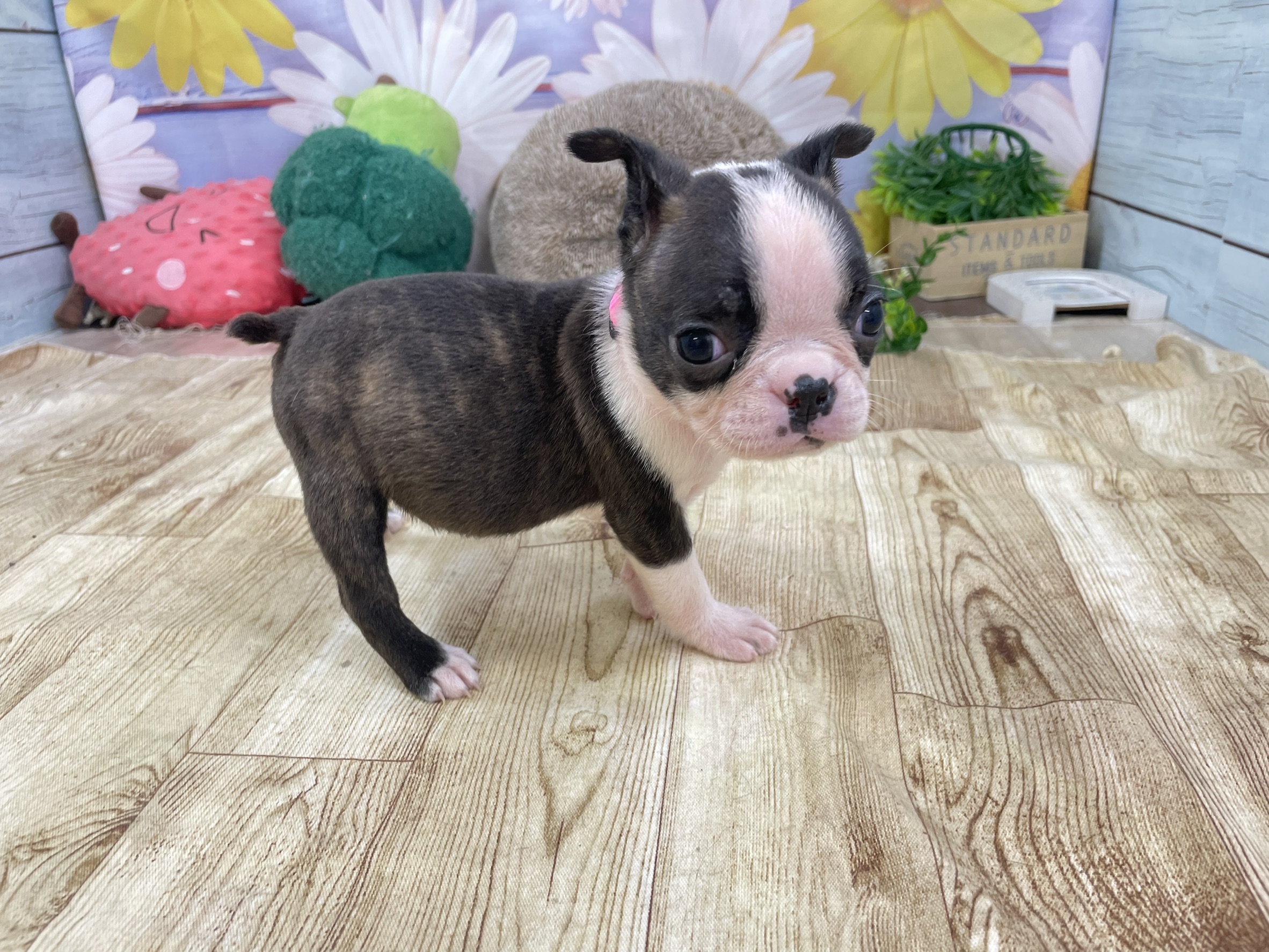 赤ちゃん写真2-1