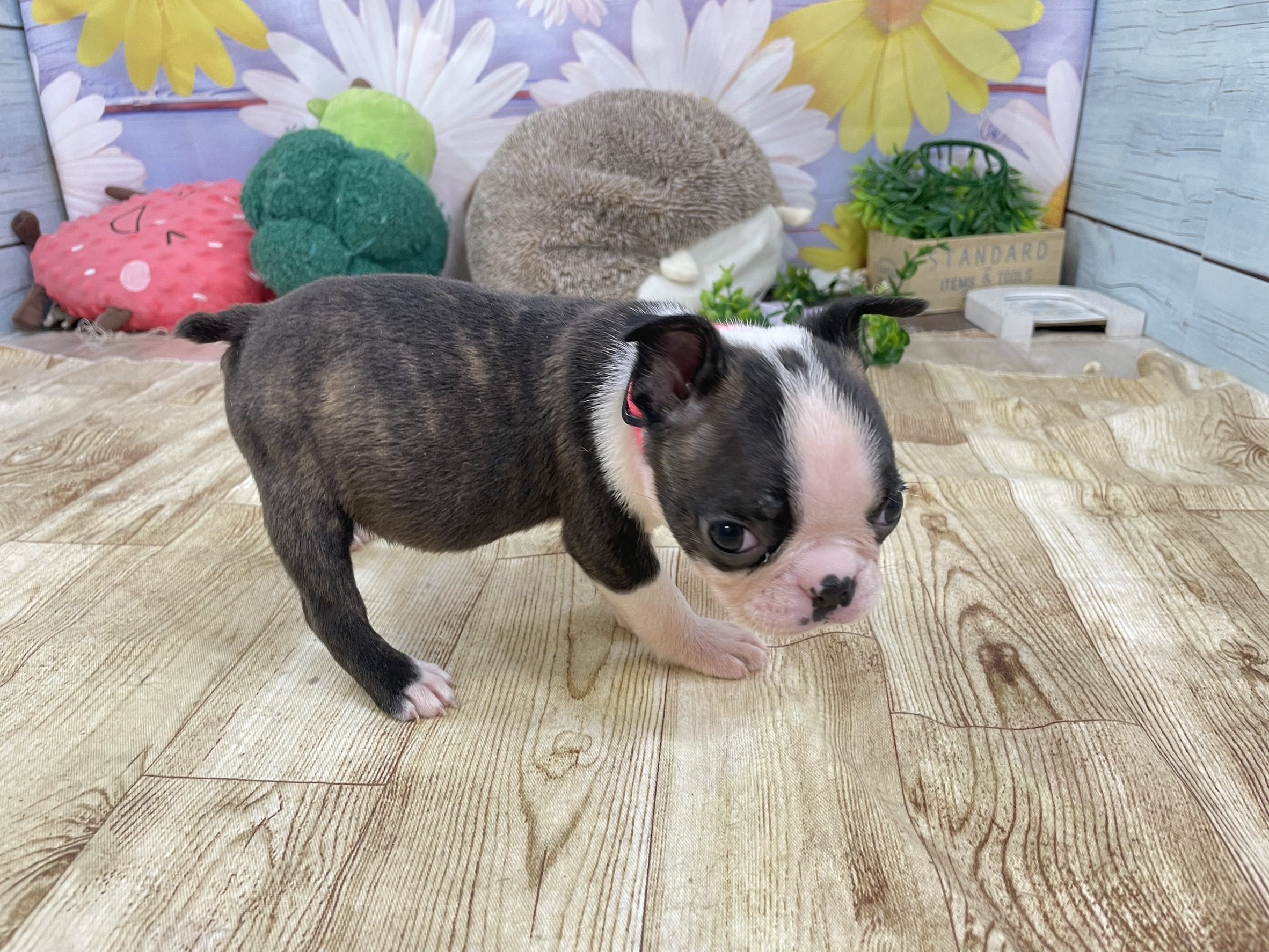 赤ちゃん写真2-2