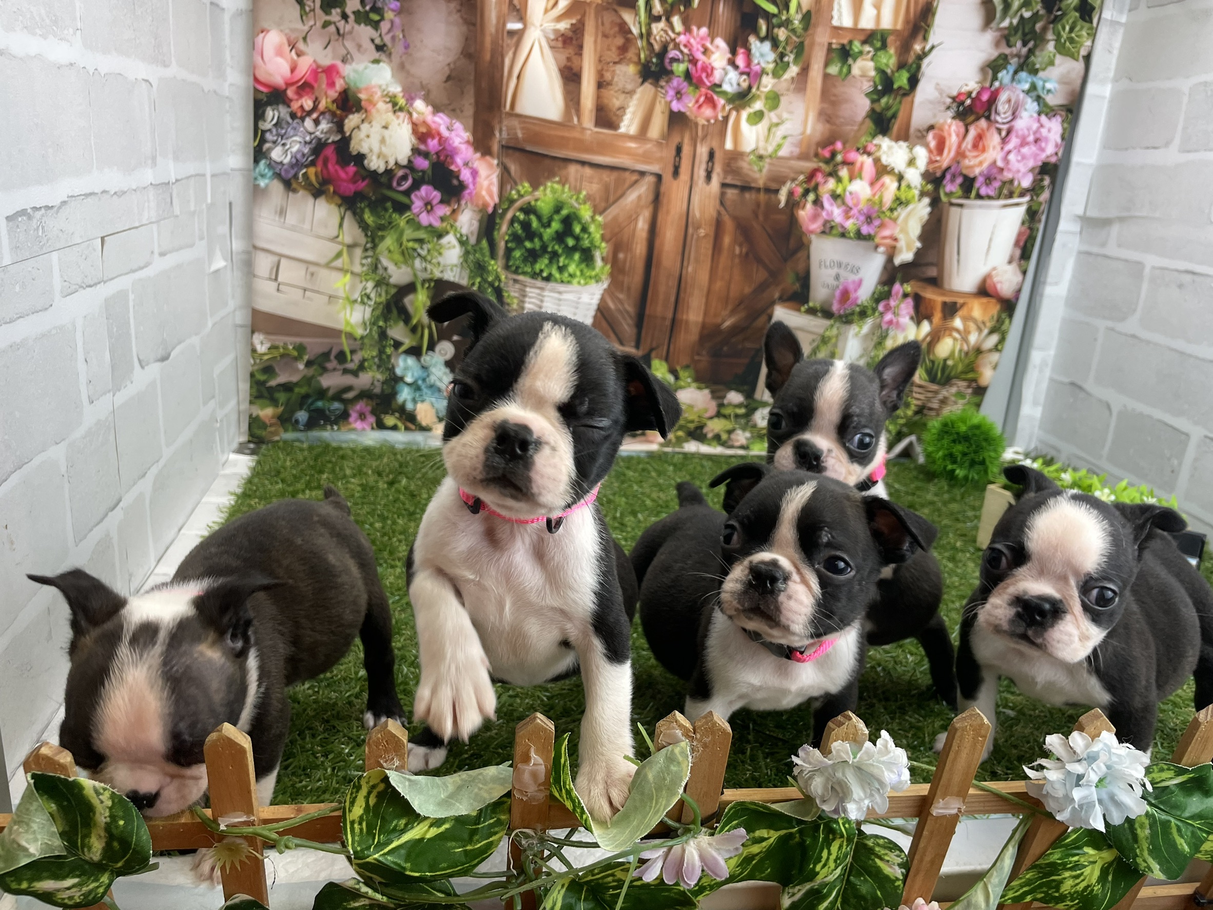 赤ちゃん写真2-3