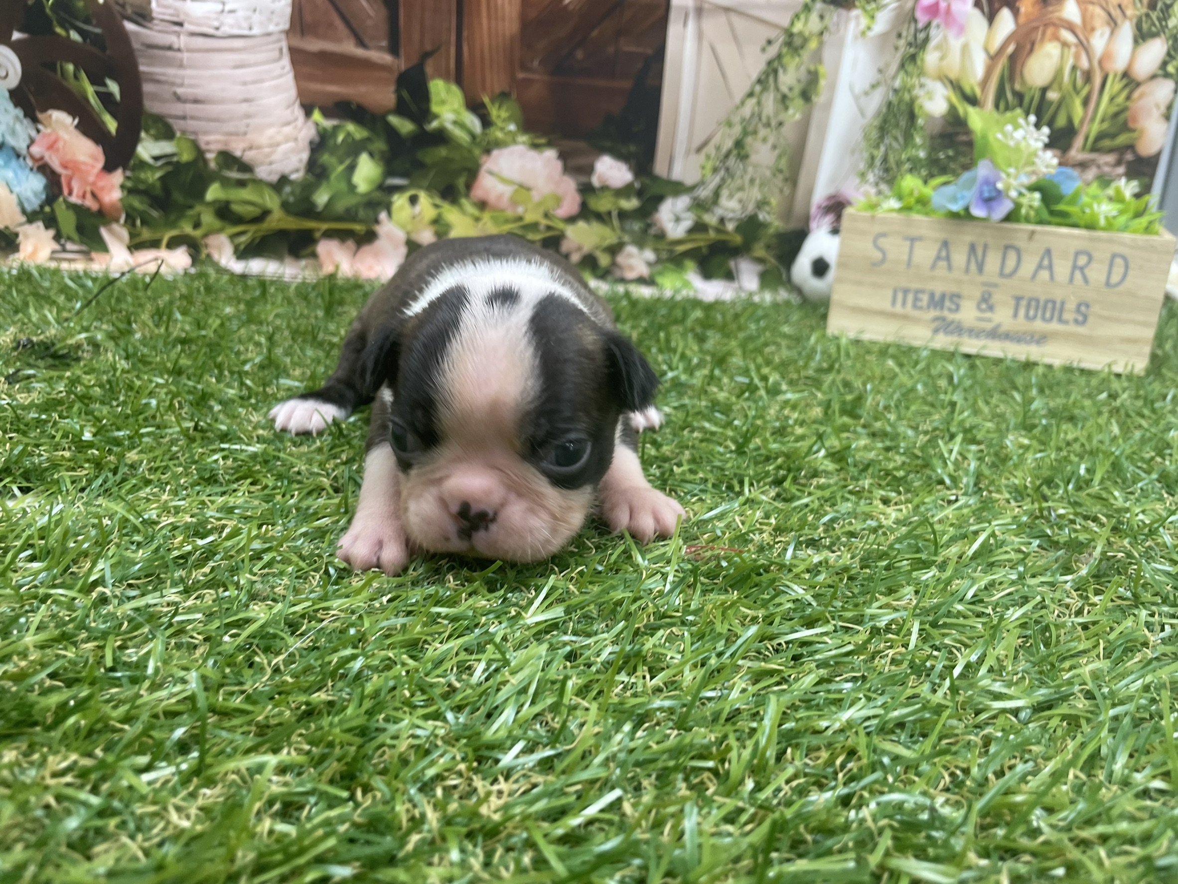 赤ちゃん写真1-1