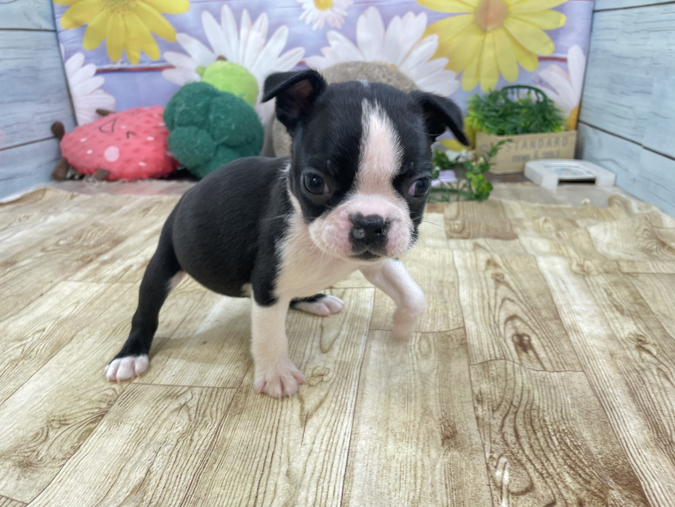 赤ちゃん写真2-1