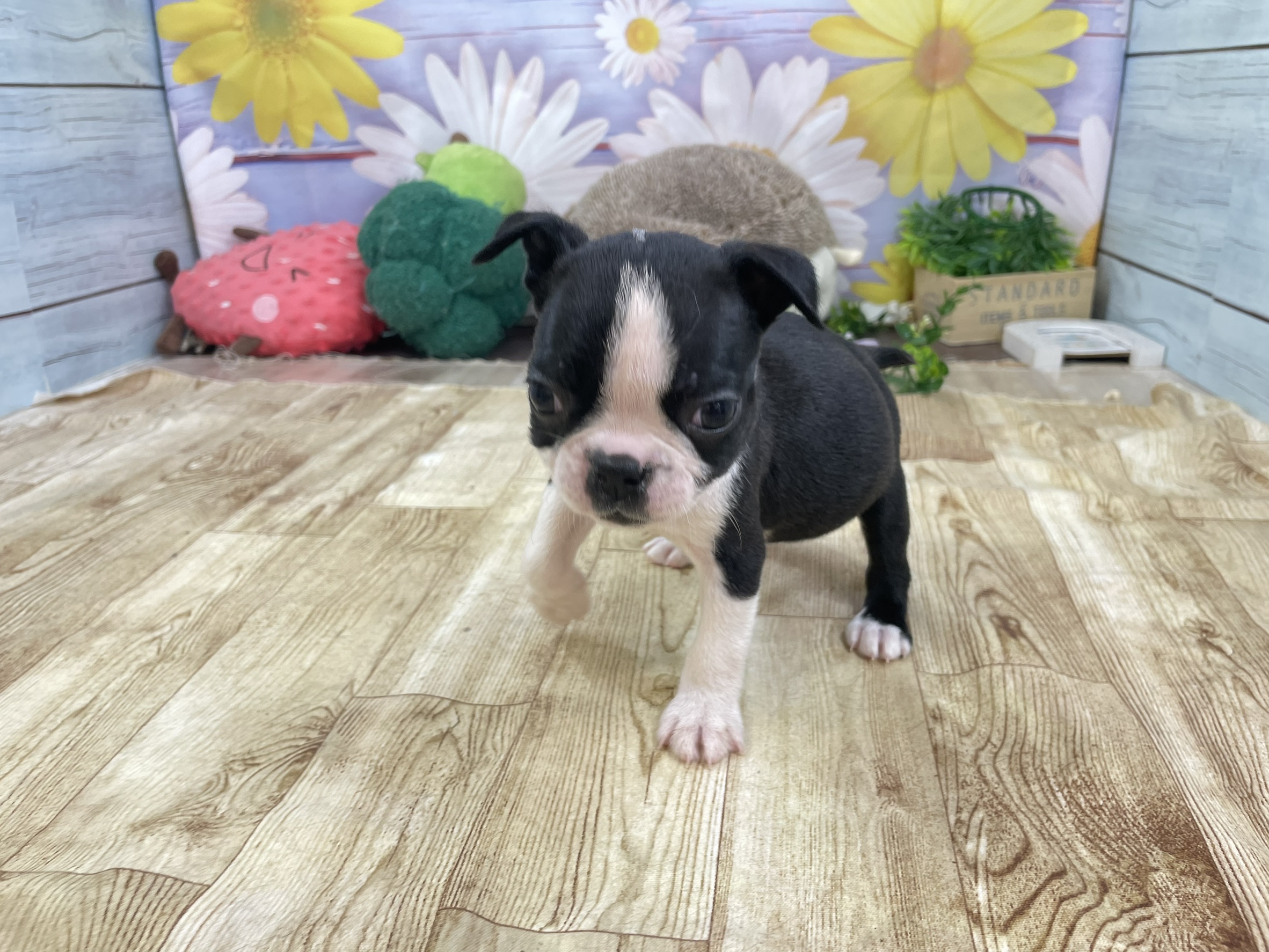 赤ちゃん写真2-2