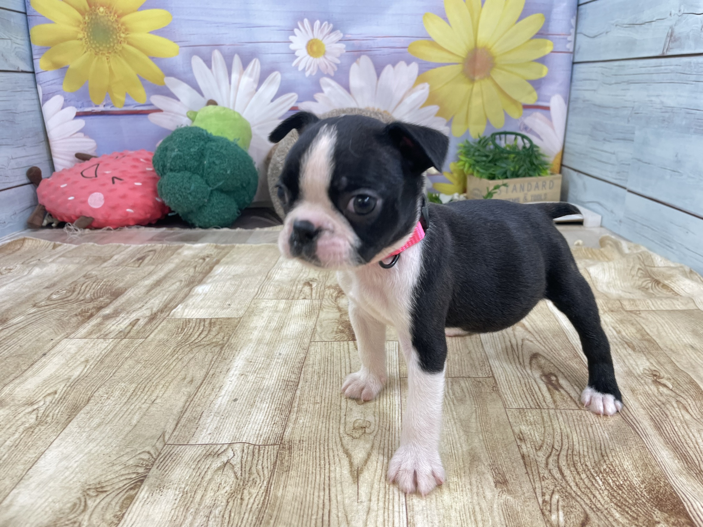 赤ちゃん写真3-2