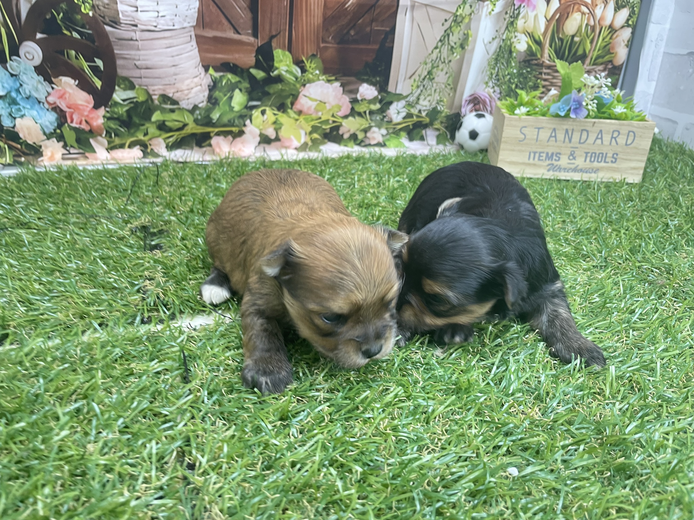 赤ちゃん写真1-3