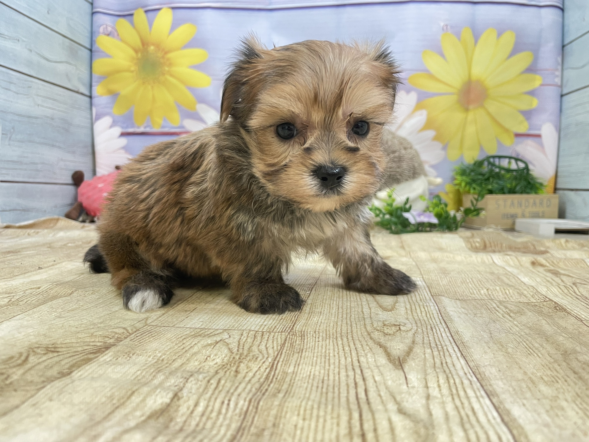 赤ちゃん写真2-2