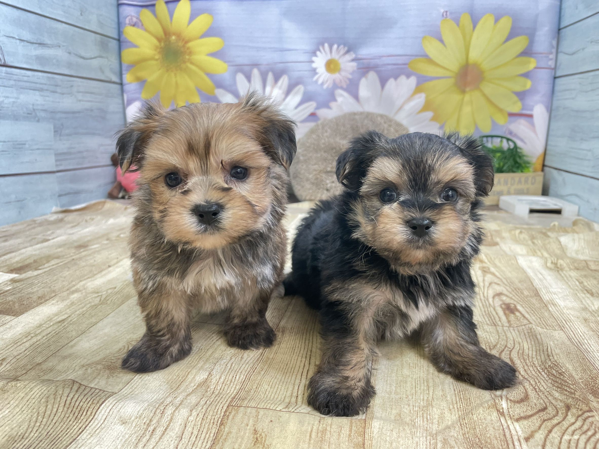 赤ちゃん写真2-3