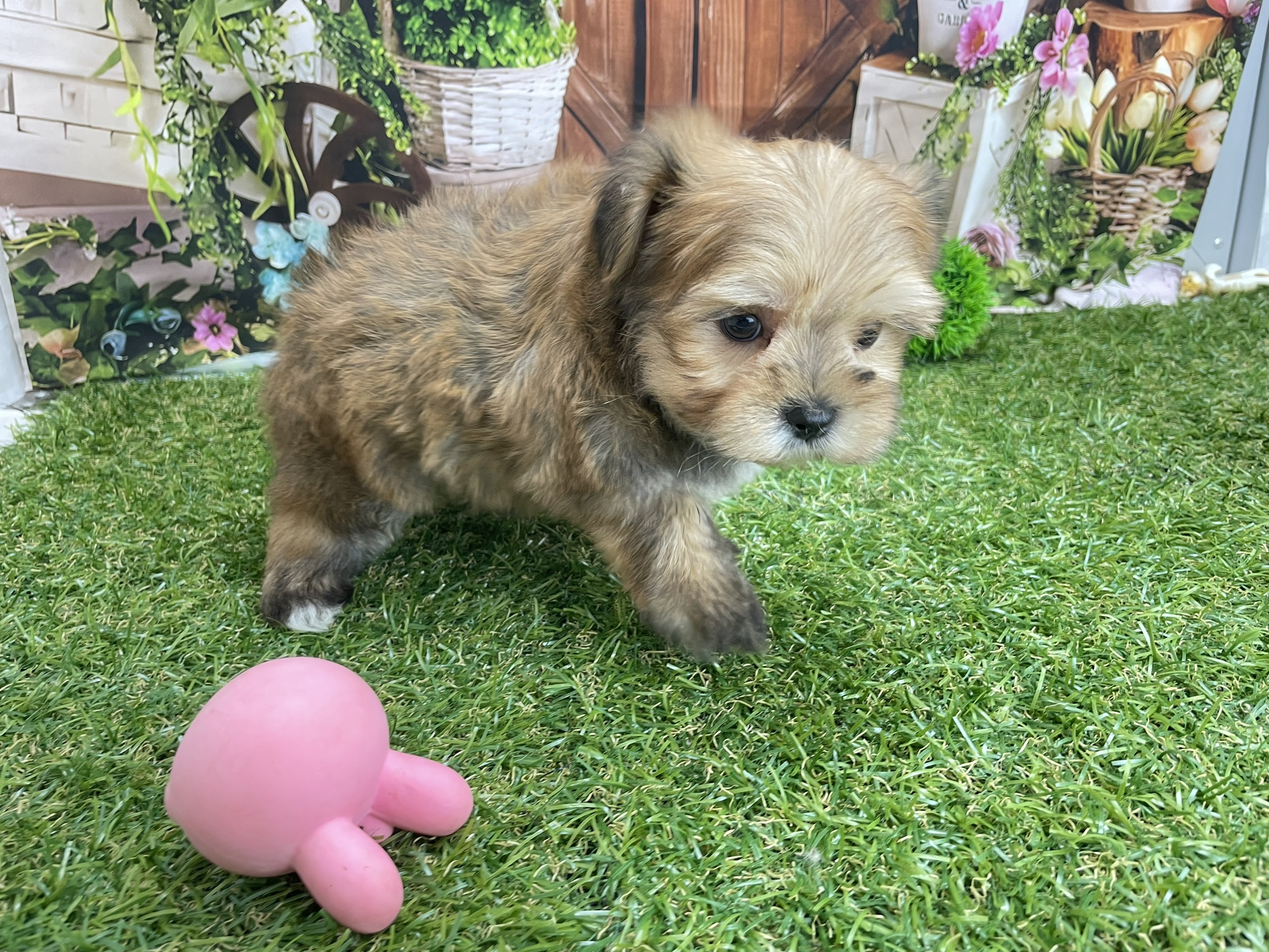 赤ちゃん写真3-2