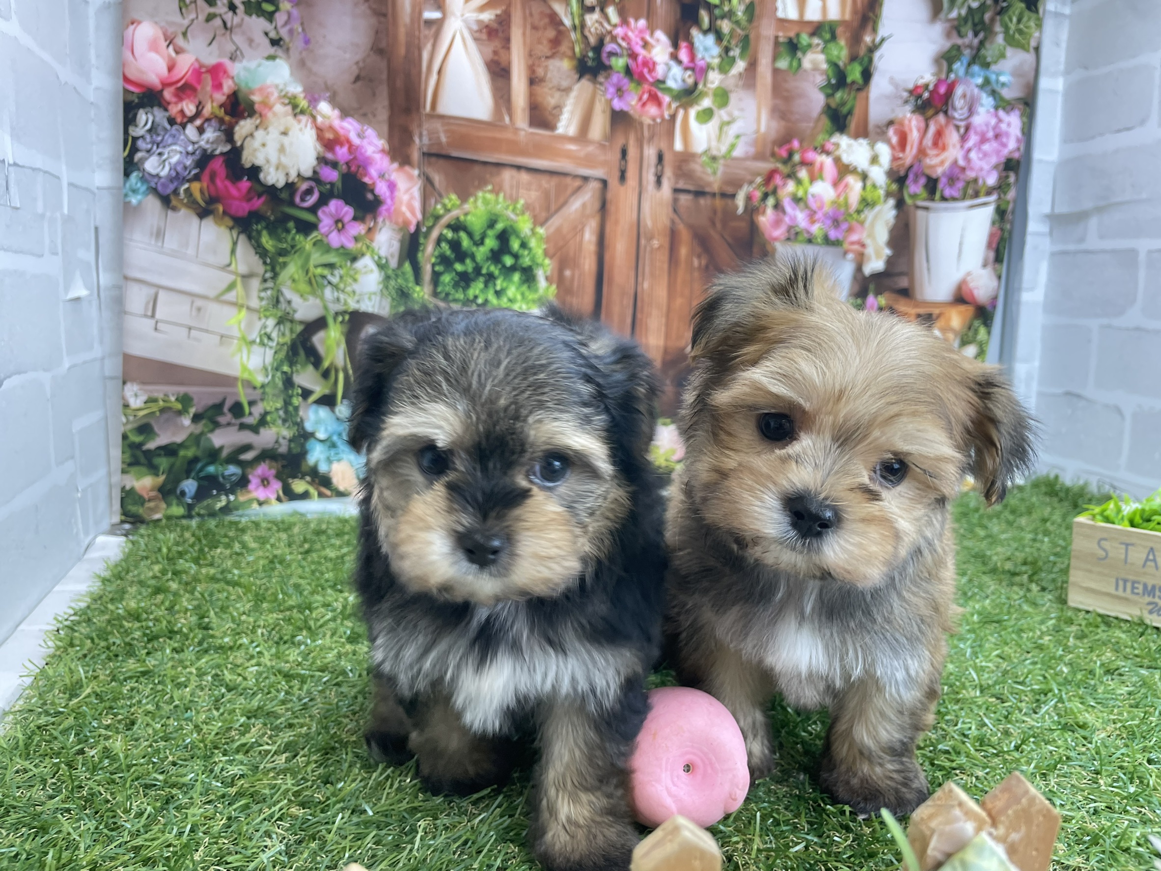 赤ちゃん写真3-3