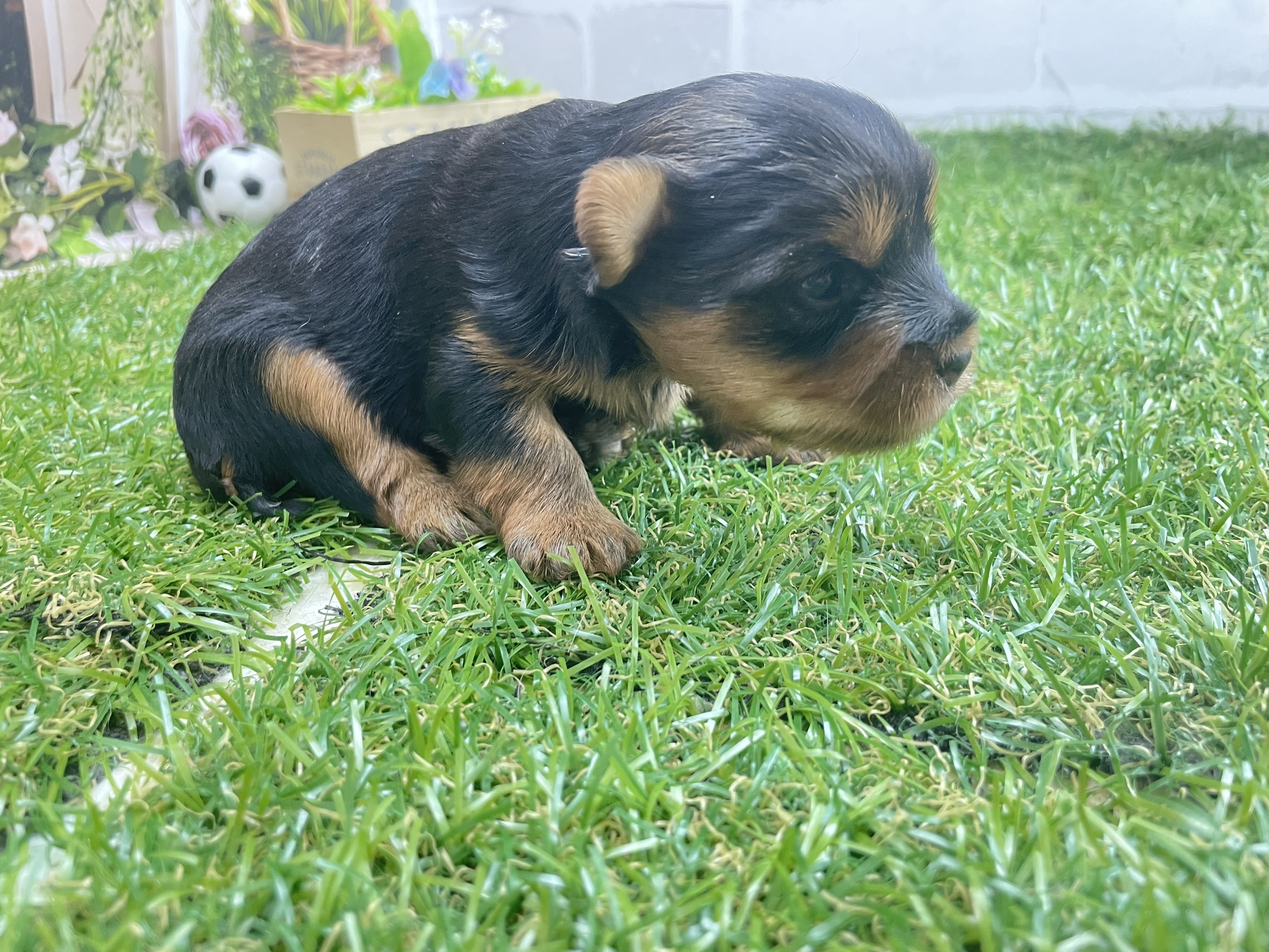 赤ちゃん写真1-1