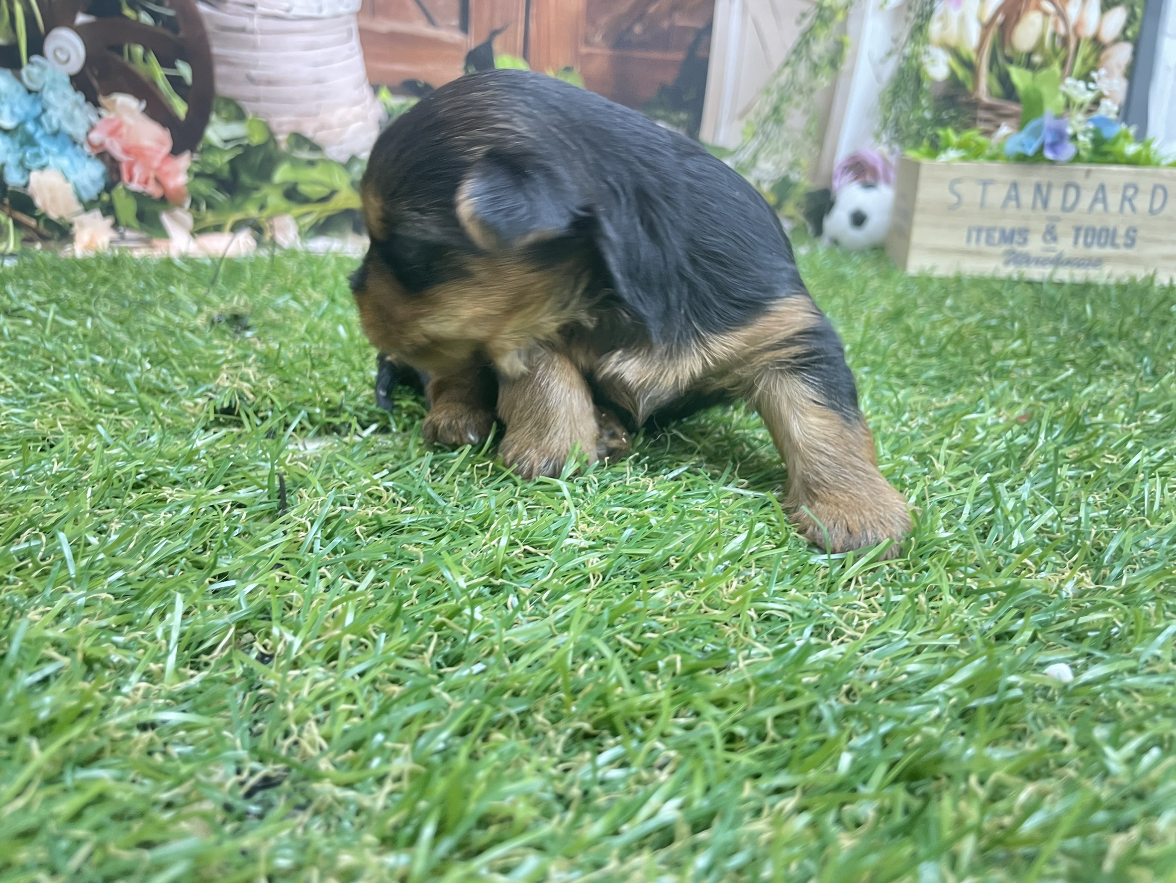 赤ちゃん写真1-3