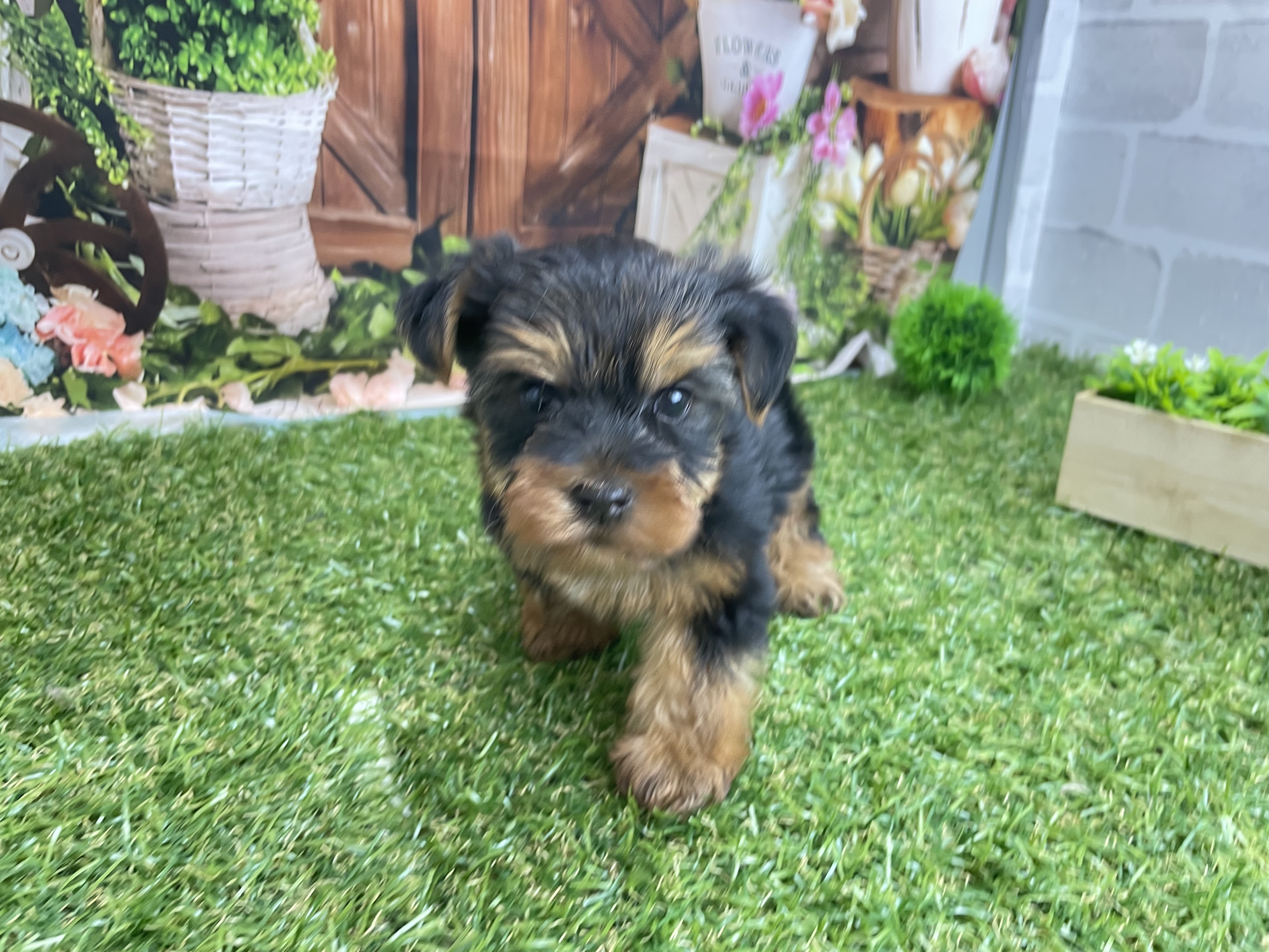 赤ちゃん写真2-1