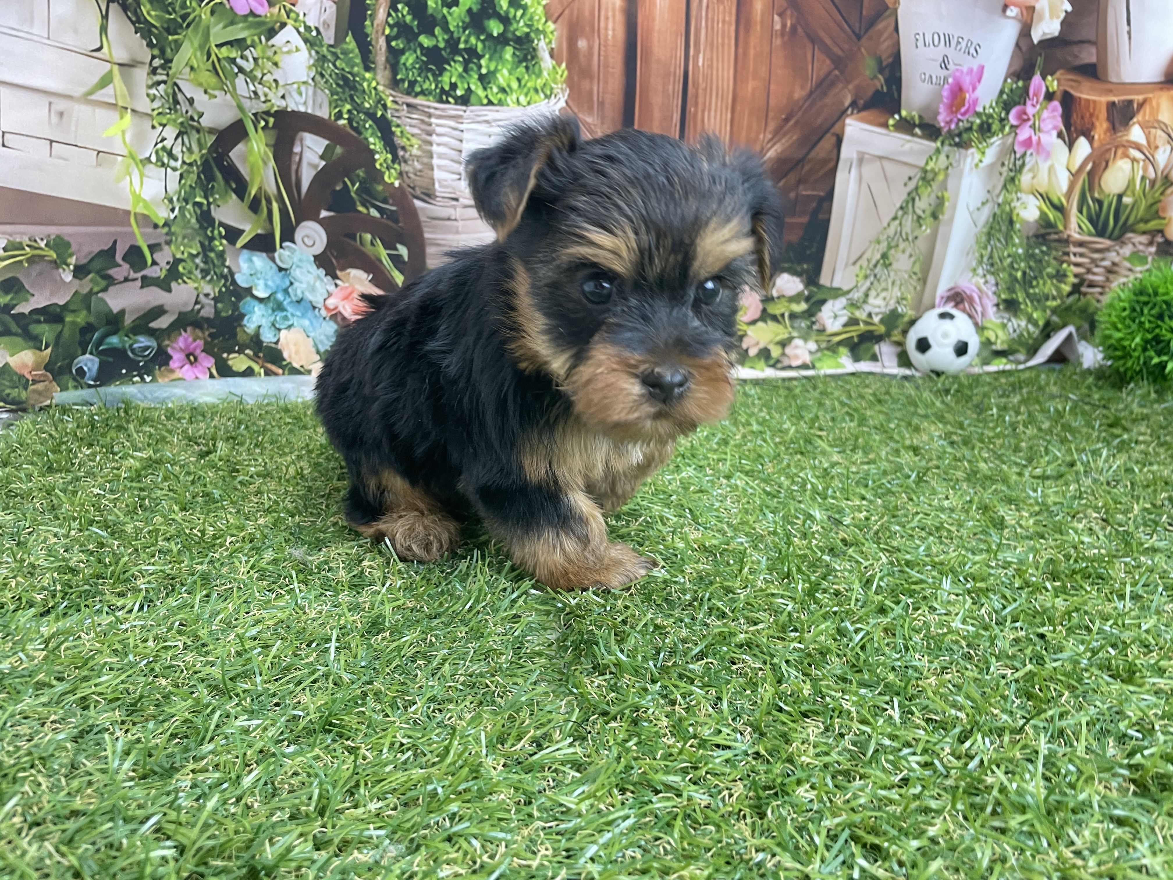 赤ちゃん写真2-2