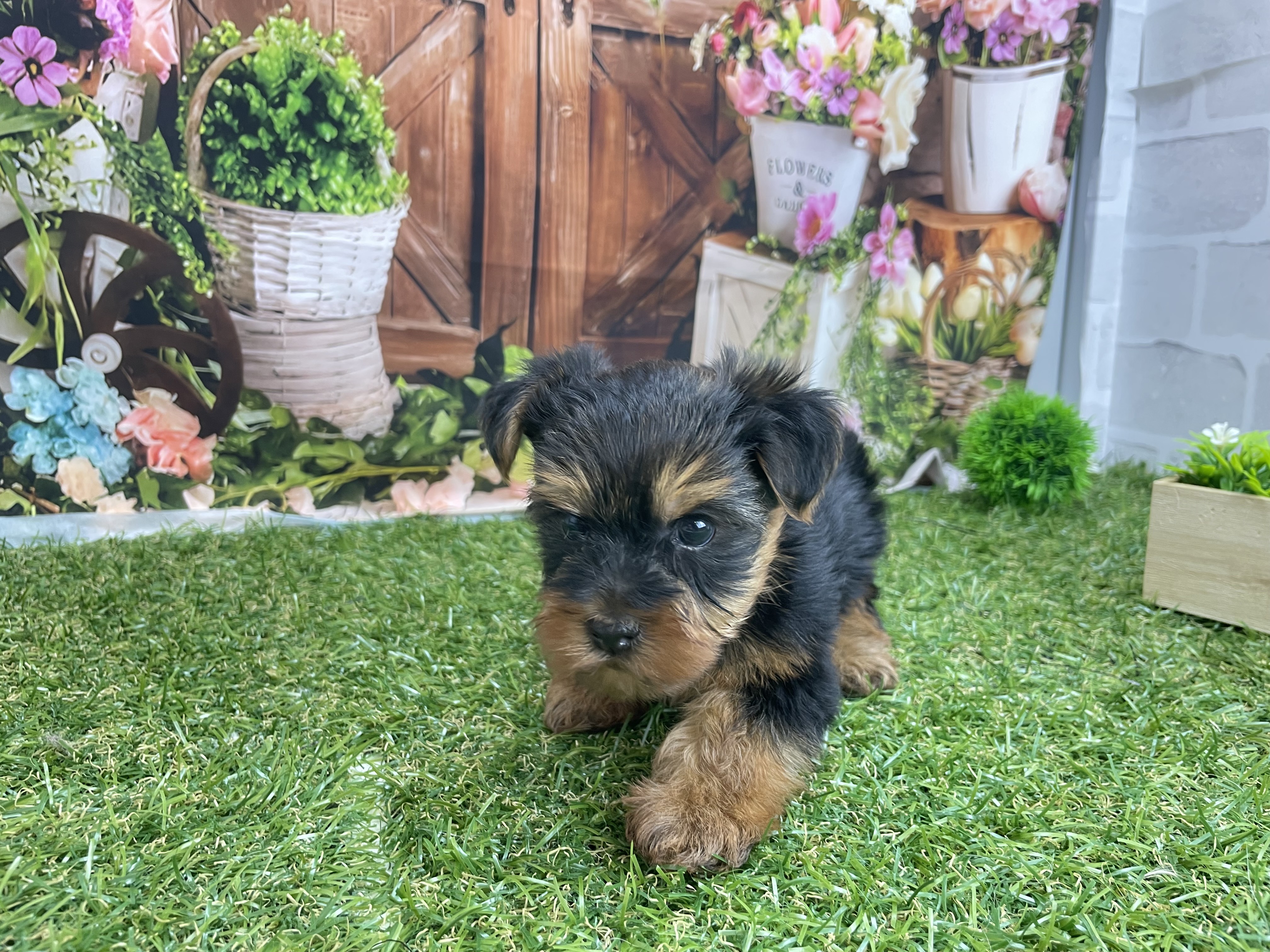 赤ちゃん写真2-3