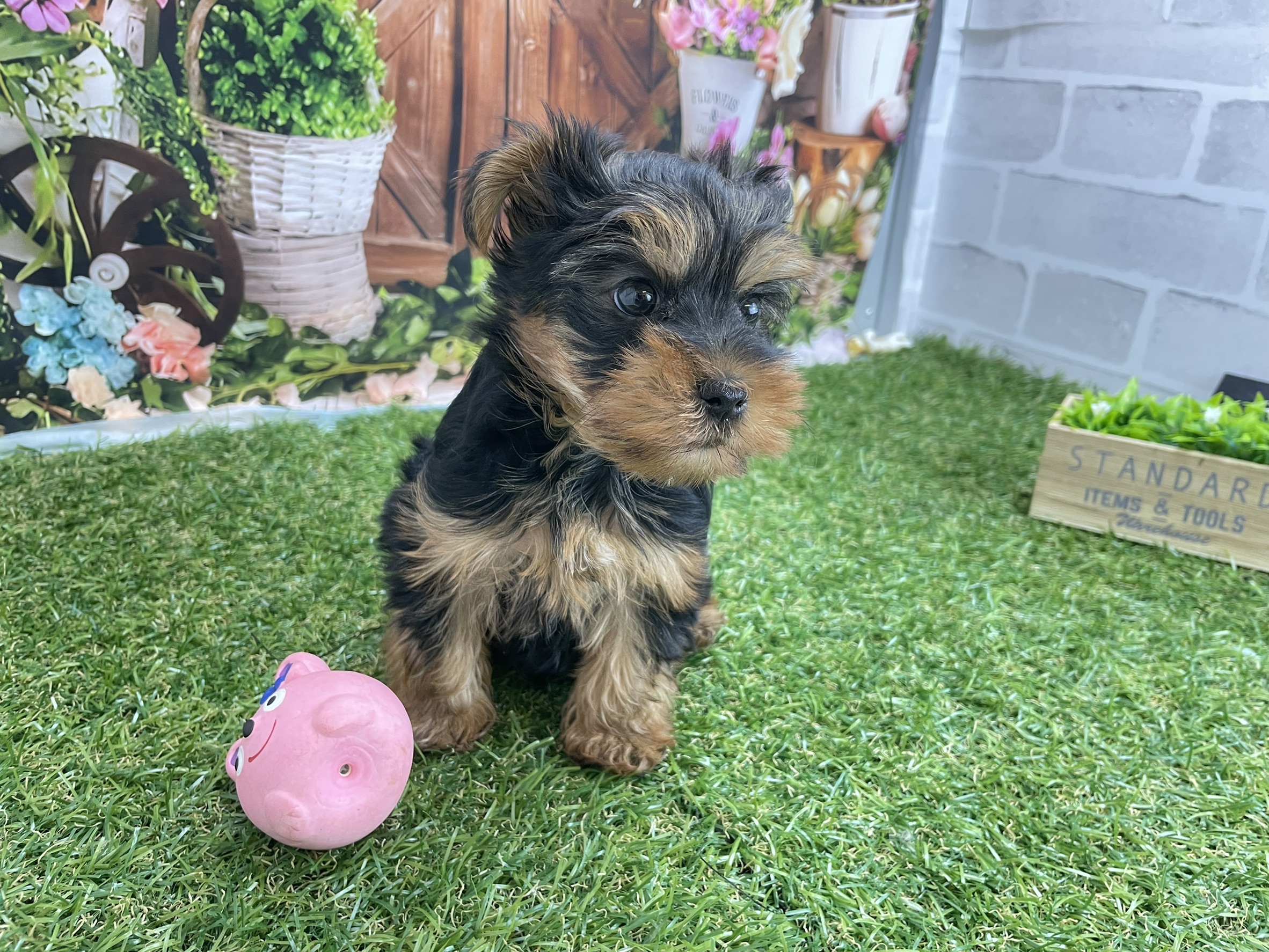 赤ちゃん写真3-2